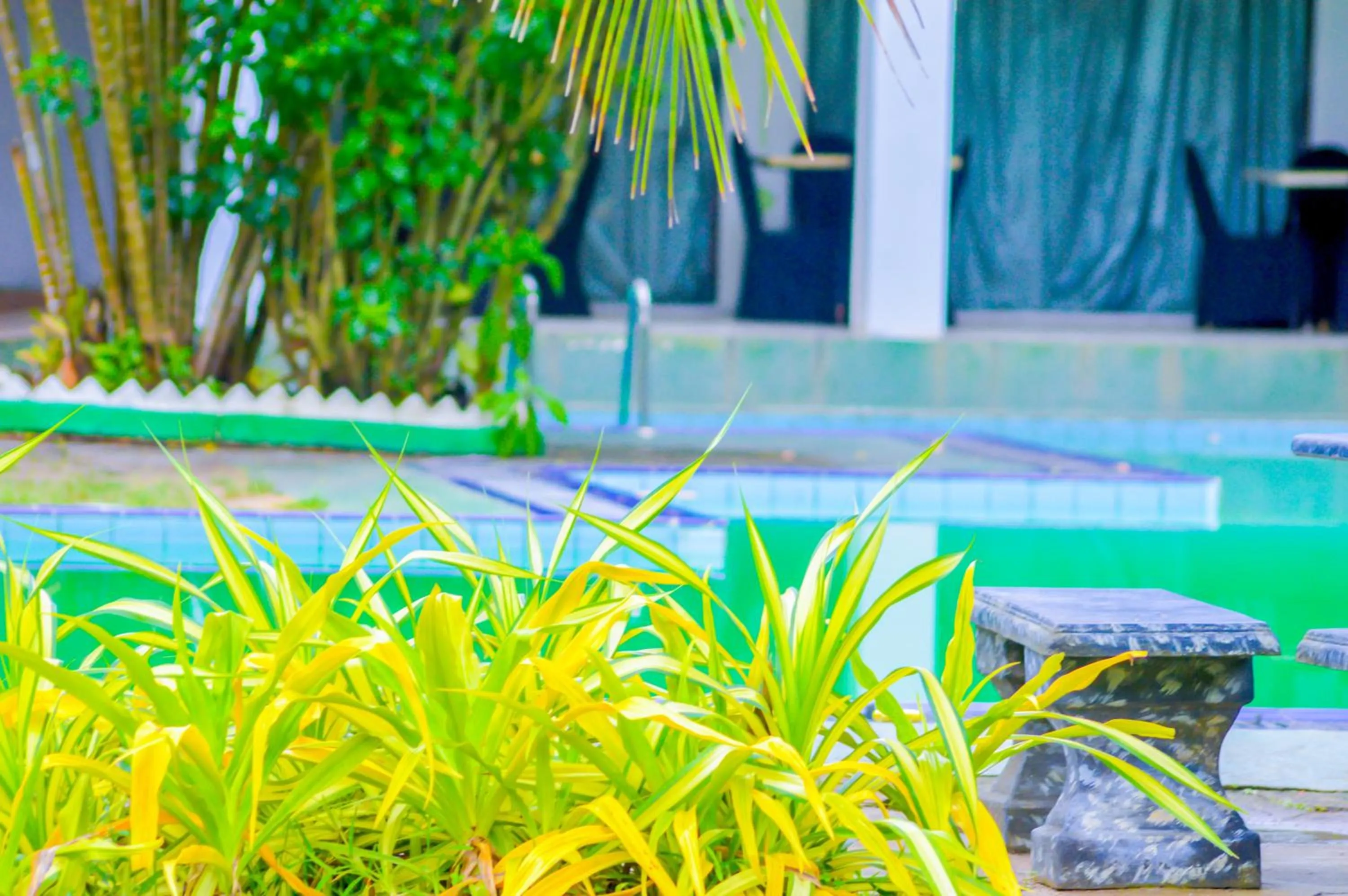 Garden in New White Haven
