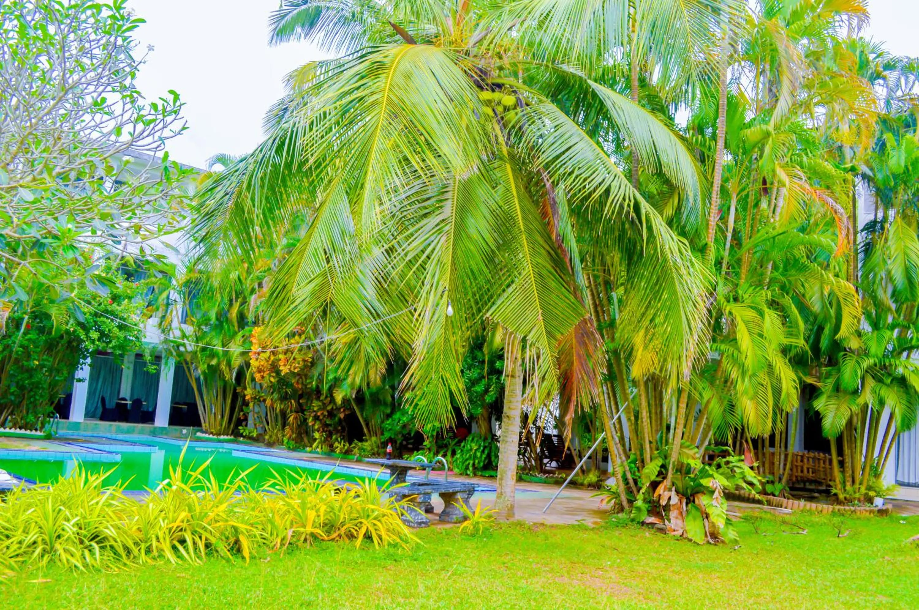Natural landscape in New White Haven