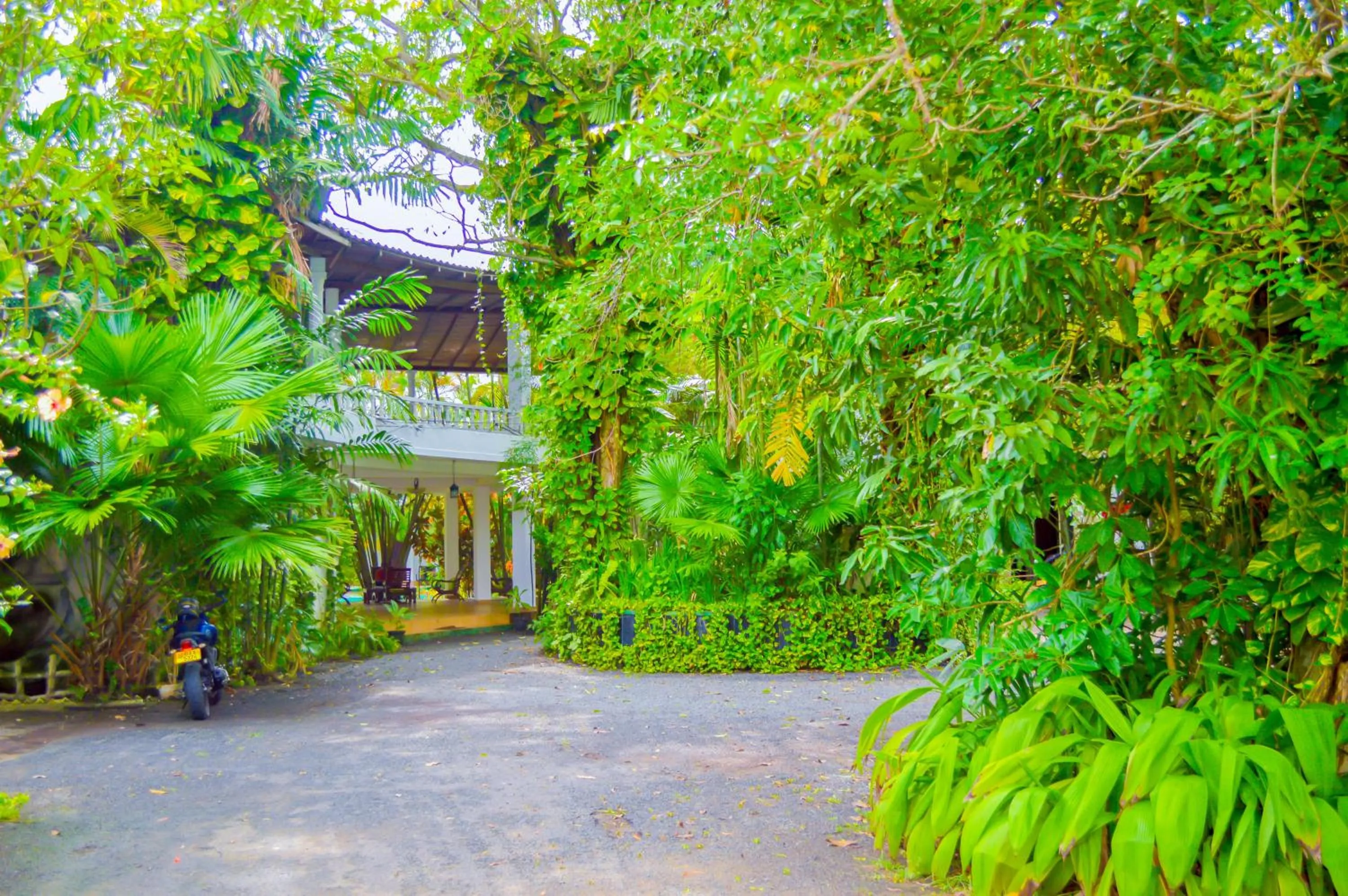 Natural landscape in New White Haven