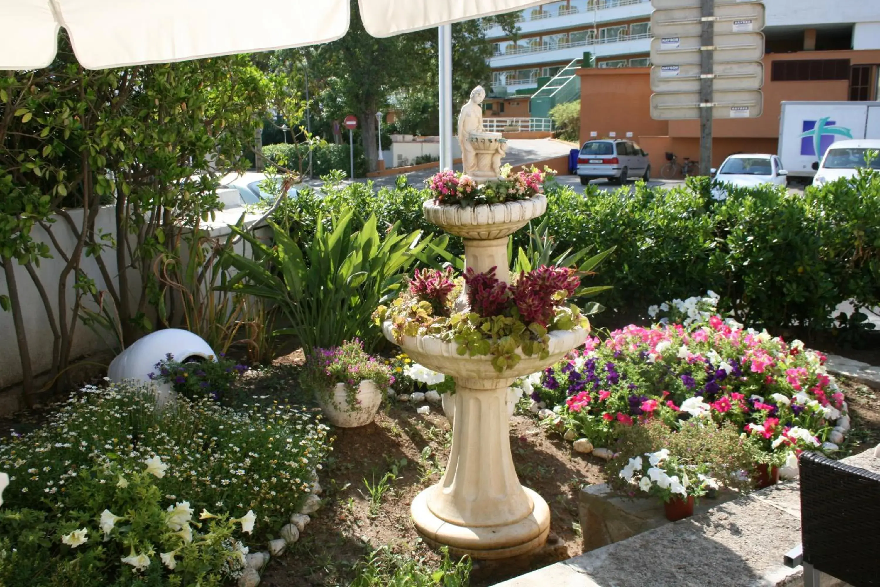 Facade/entrance in Apartamentos Don Miguel Facade/entrance in Apartamentos Don Miguel