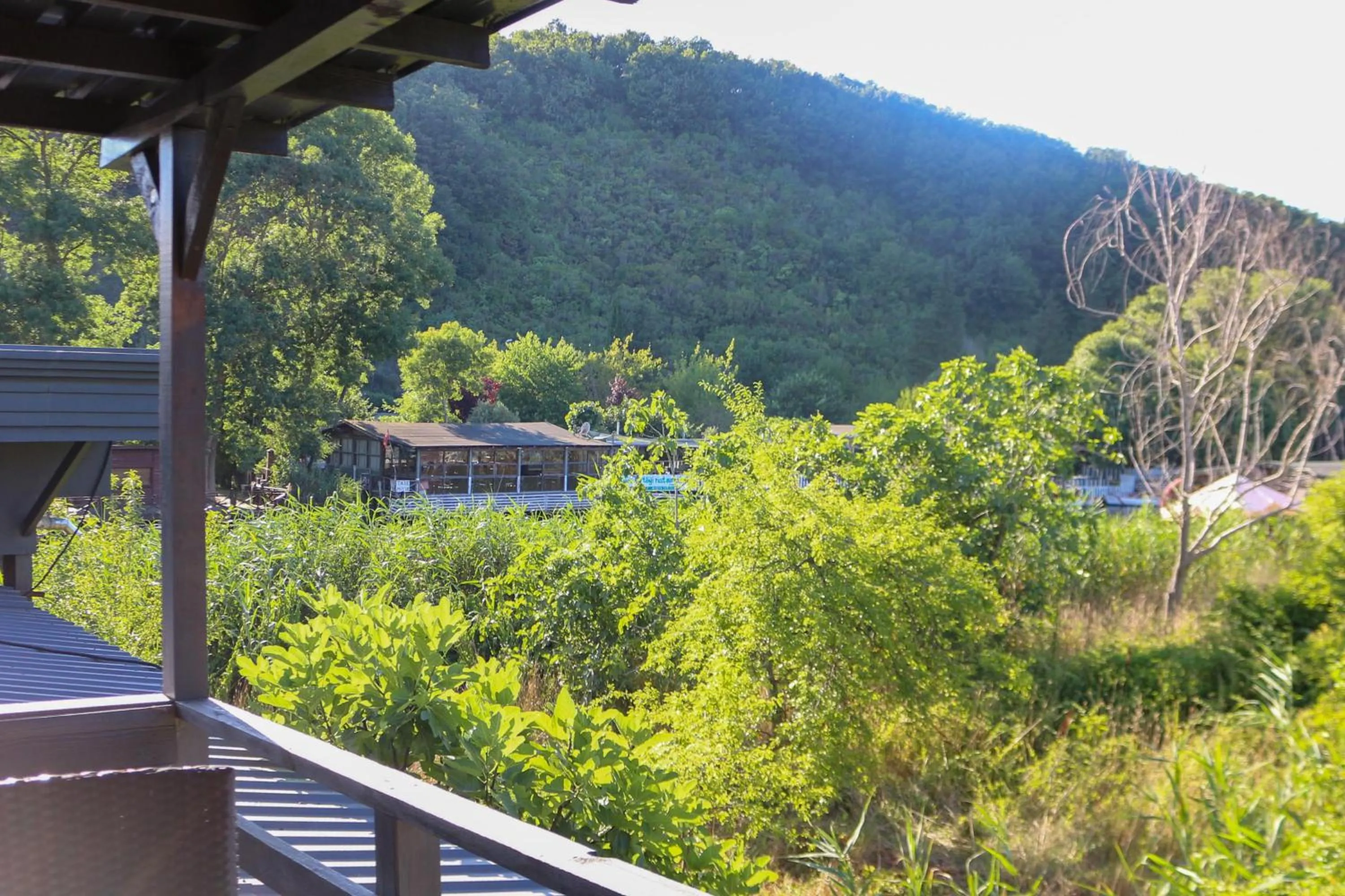 Natural landscape in Mints Hotel Ağva