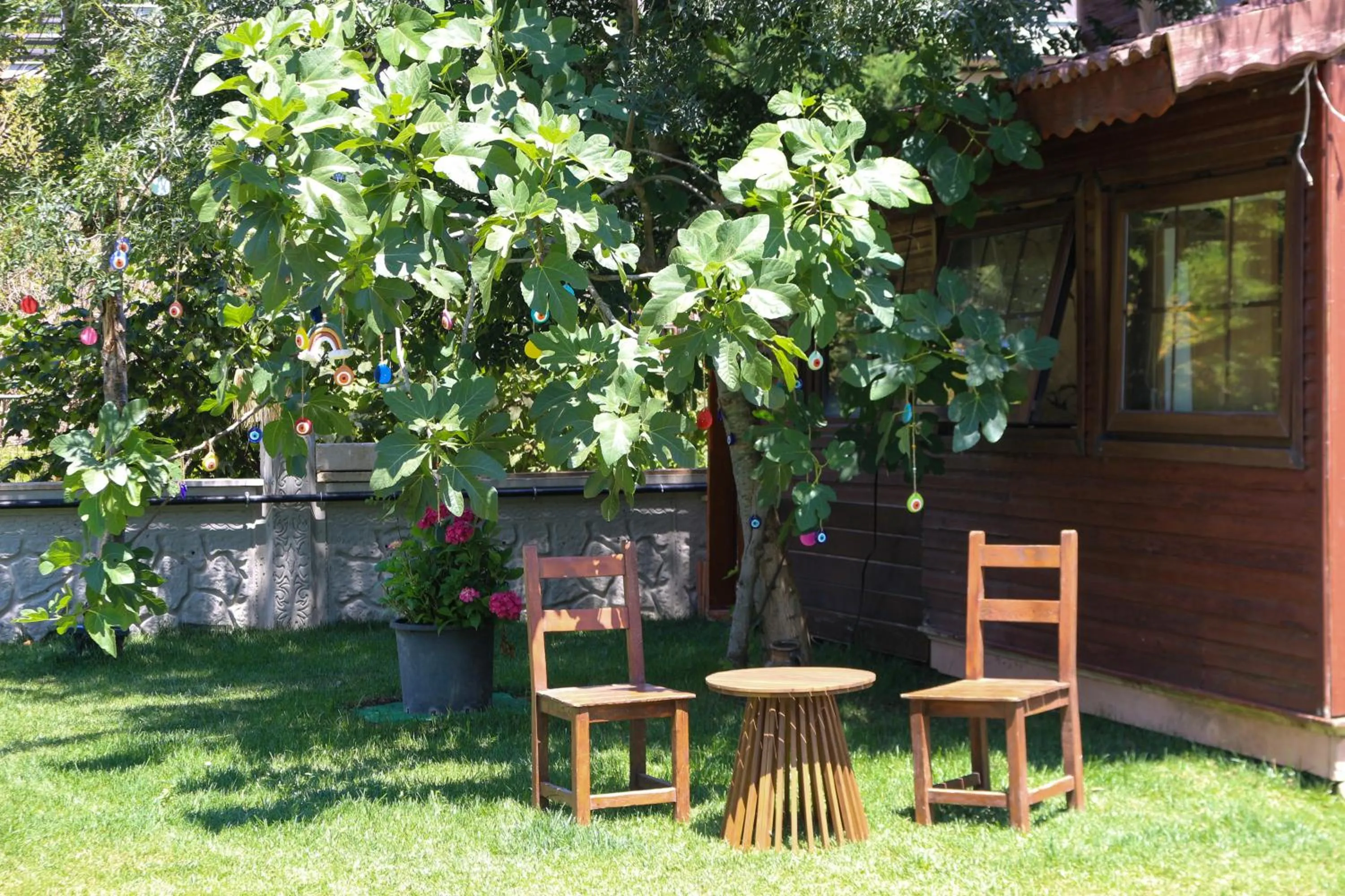 Garden in Mints Hotel Ağva