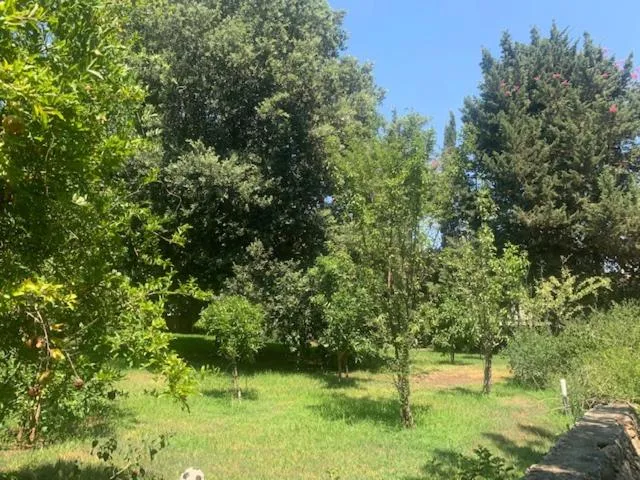 B&B Madreperla