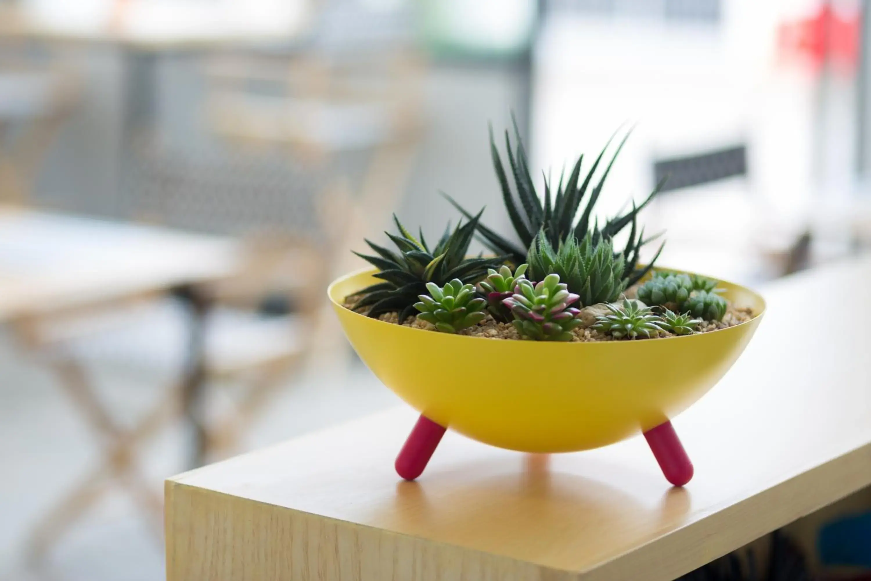 Restaurant/places to eat in M2 Hotel Restaurant/places to eat in M2 Hotel