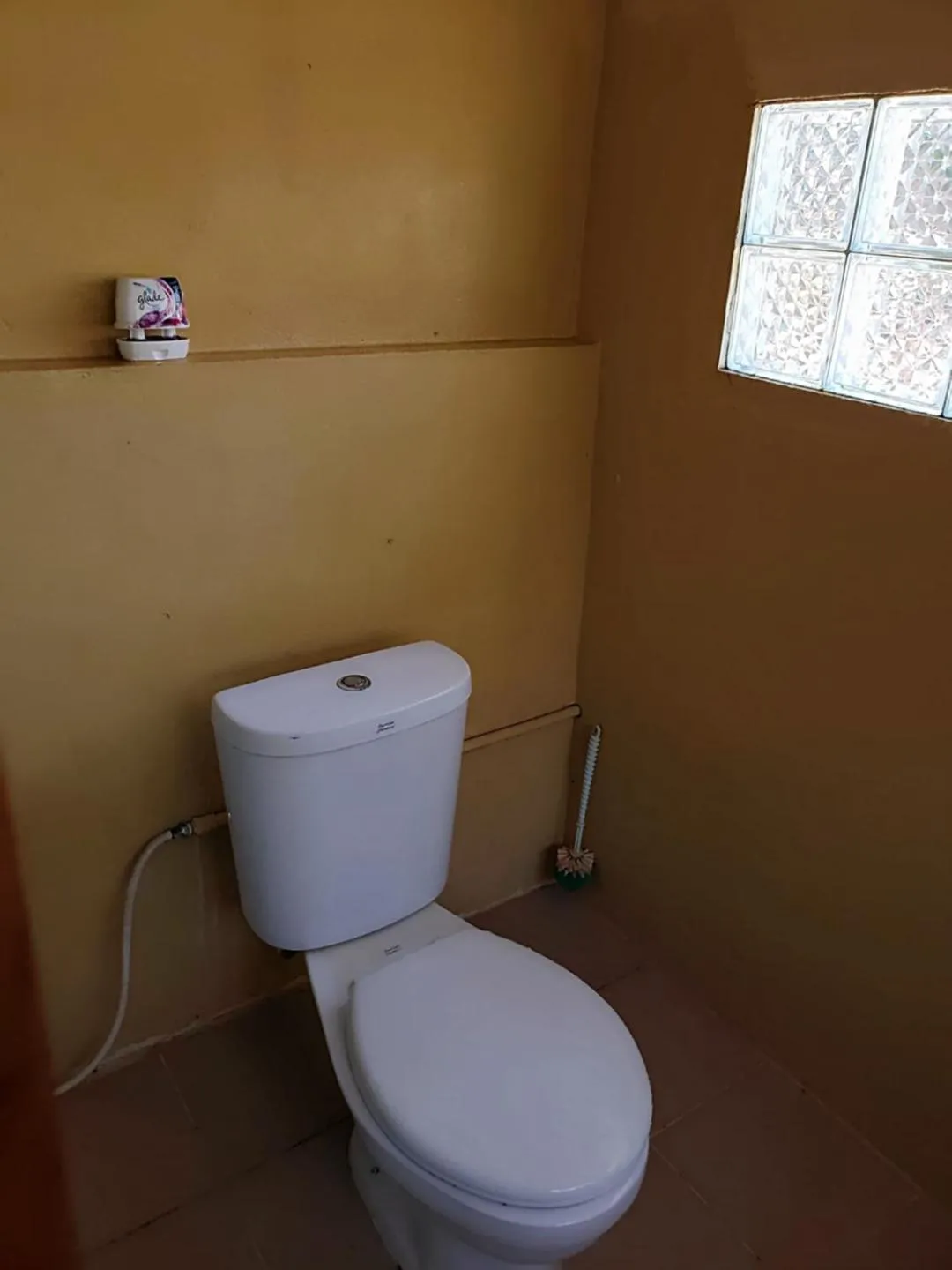 Toilet in Sleeping Trees