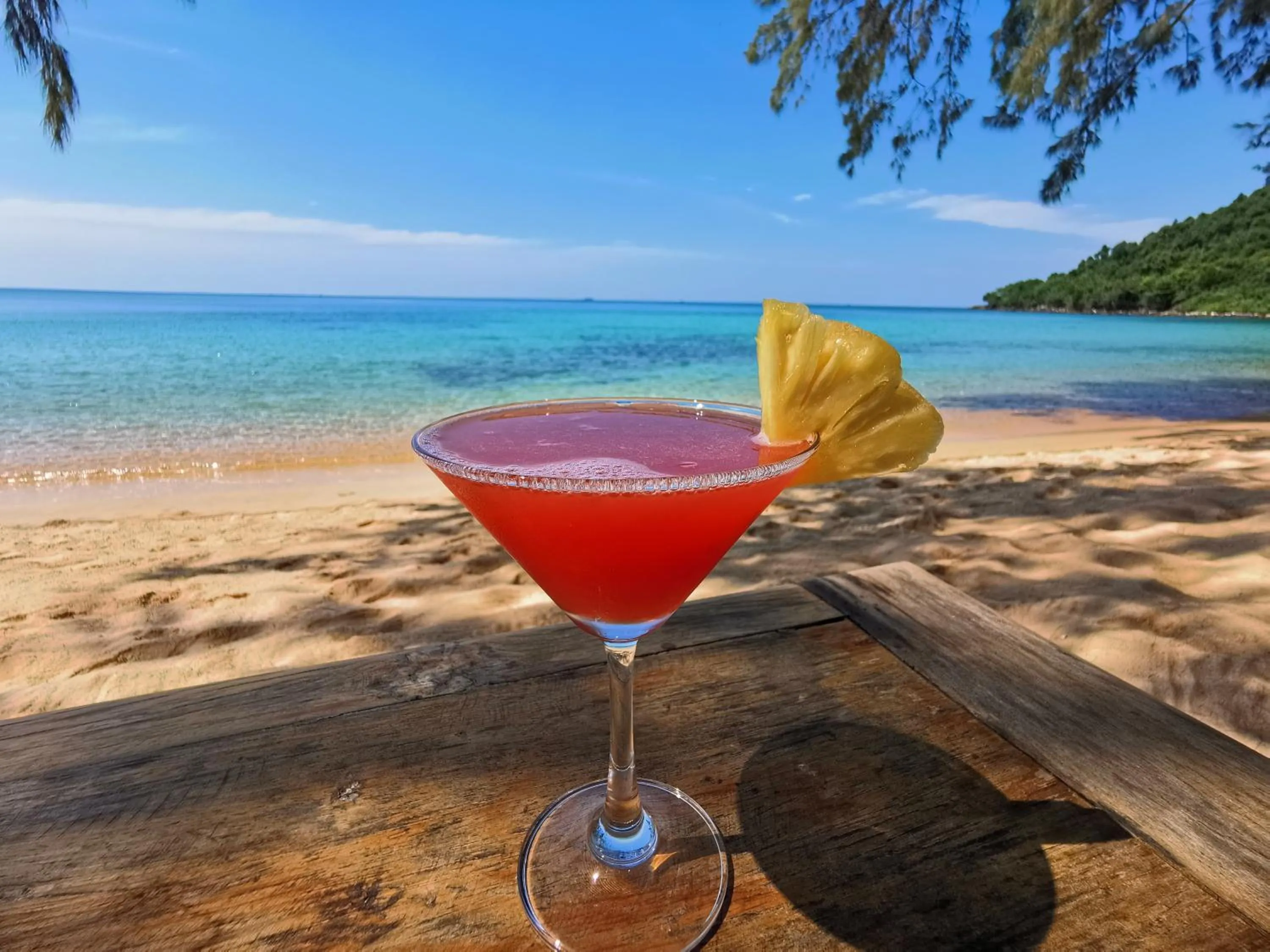 Food and drinks in Sleeping Trees