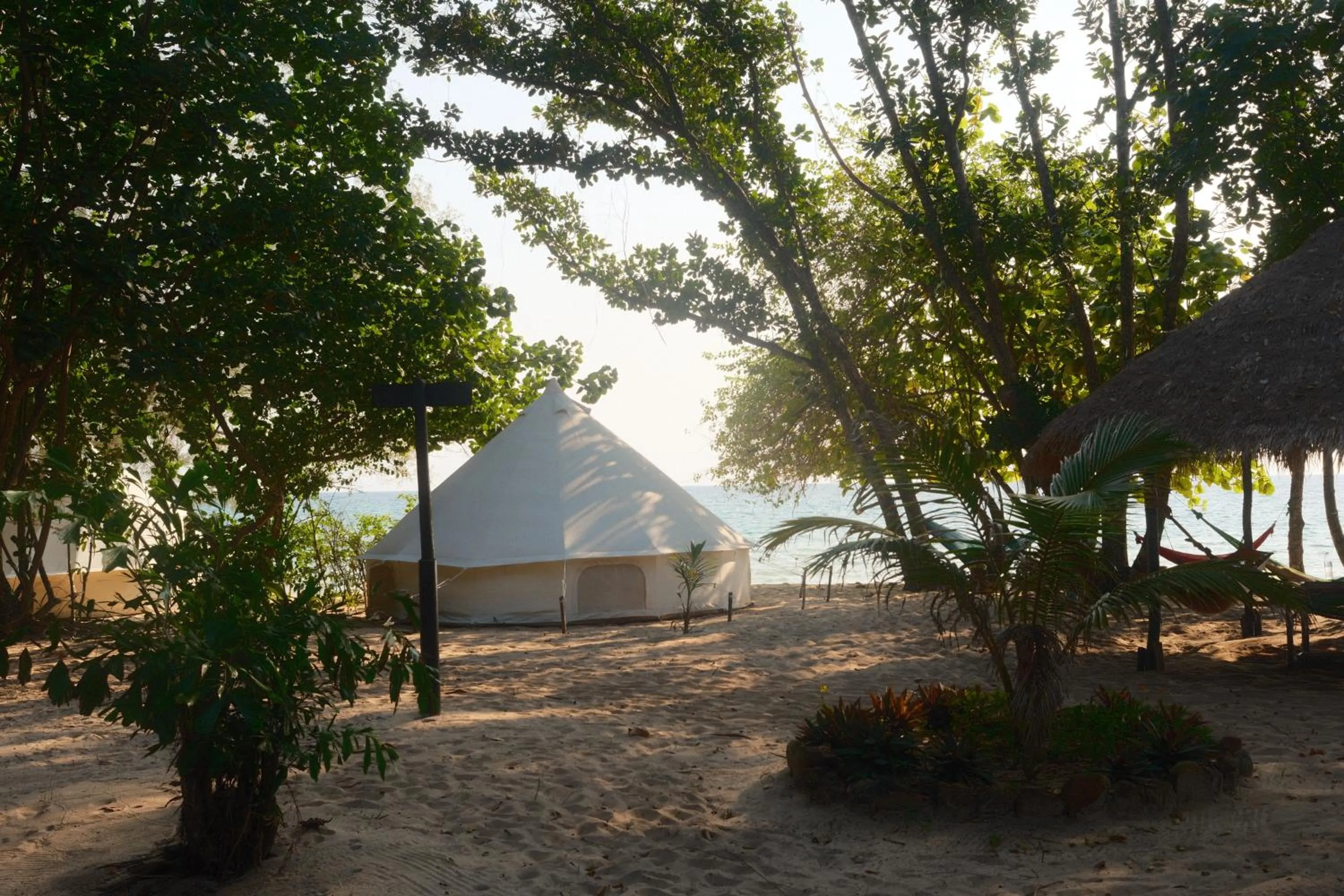 Beach in Sleeping Trees