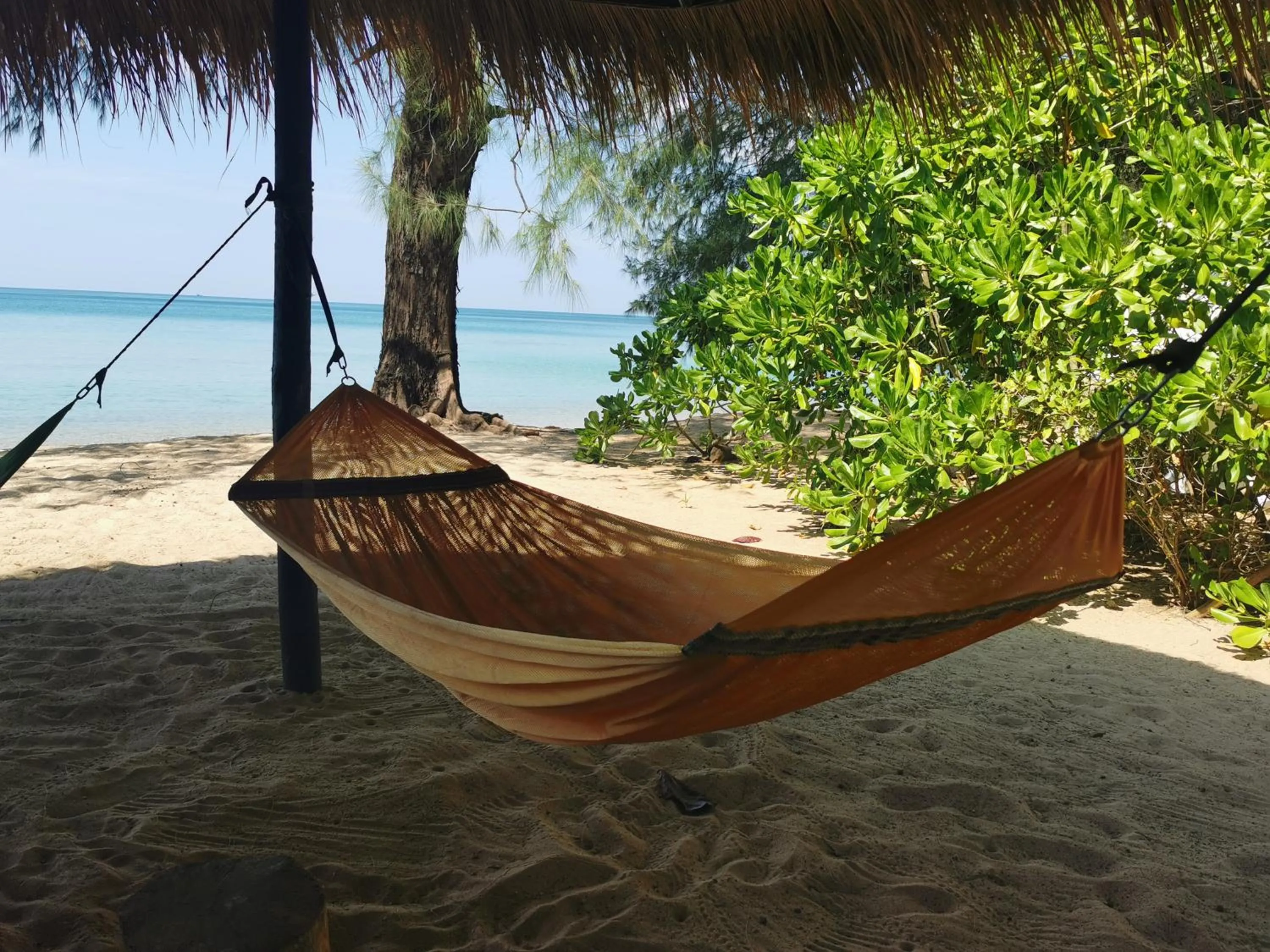 Day in Sleeping Trees