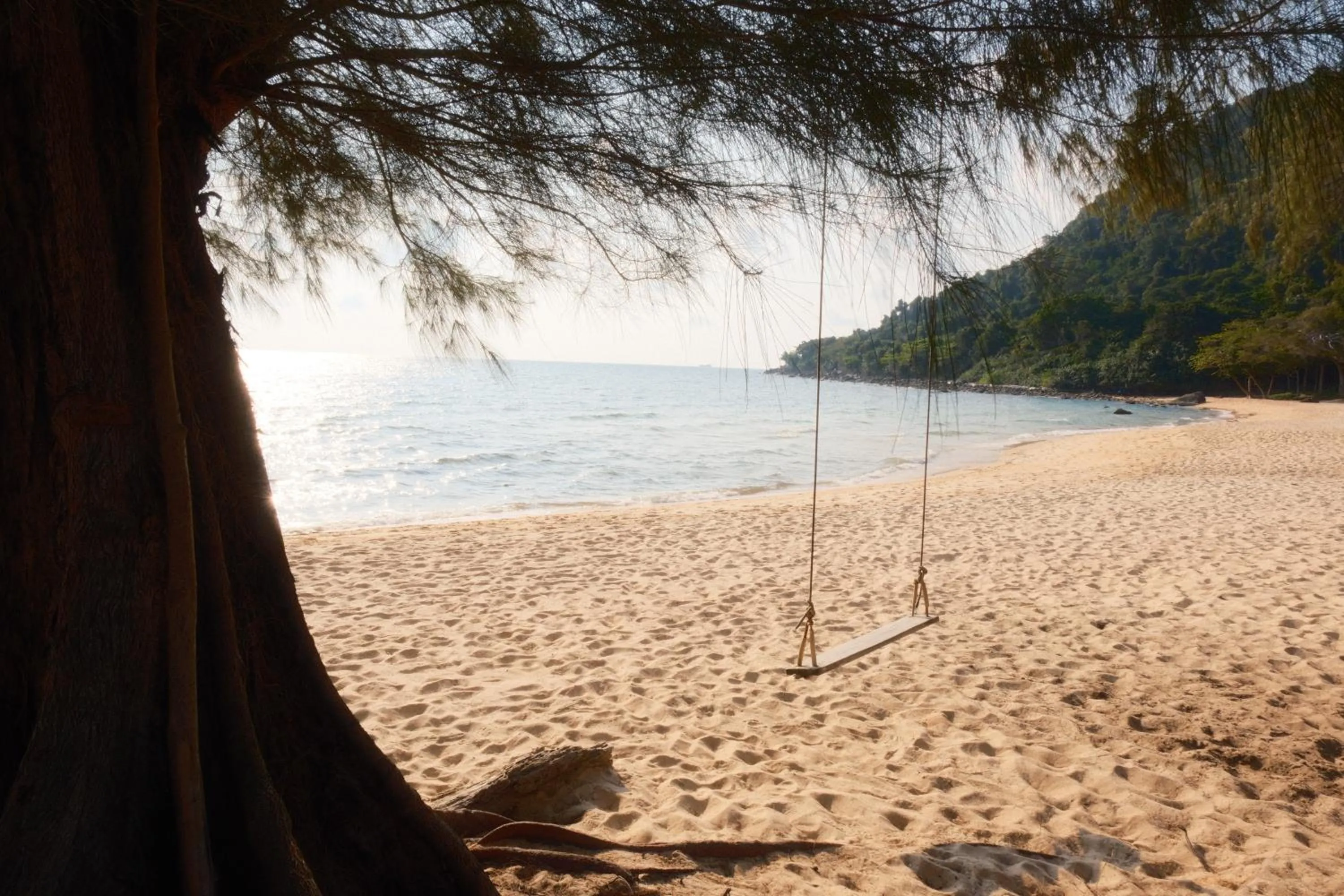 Beach in Sleeping Trees