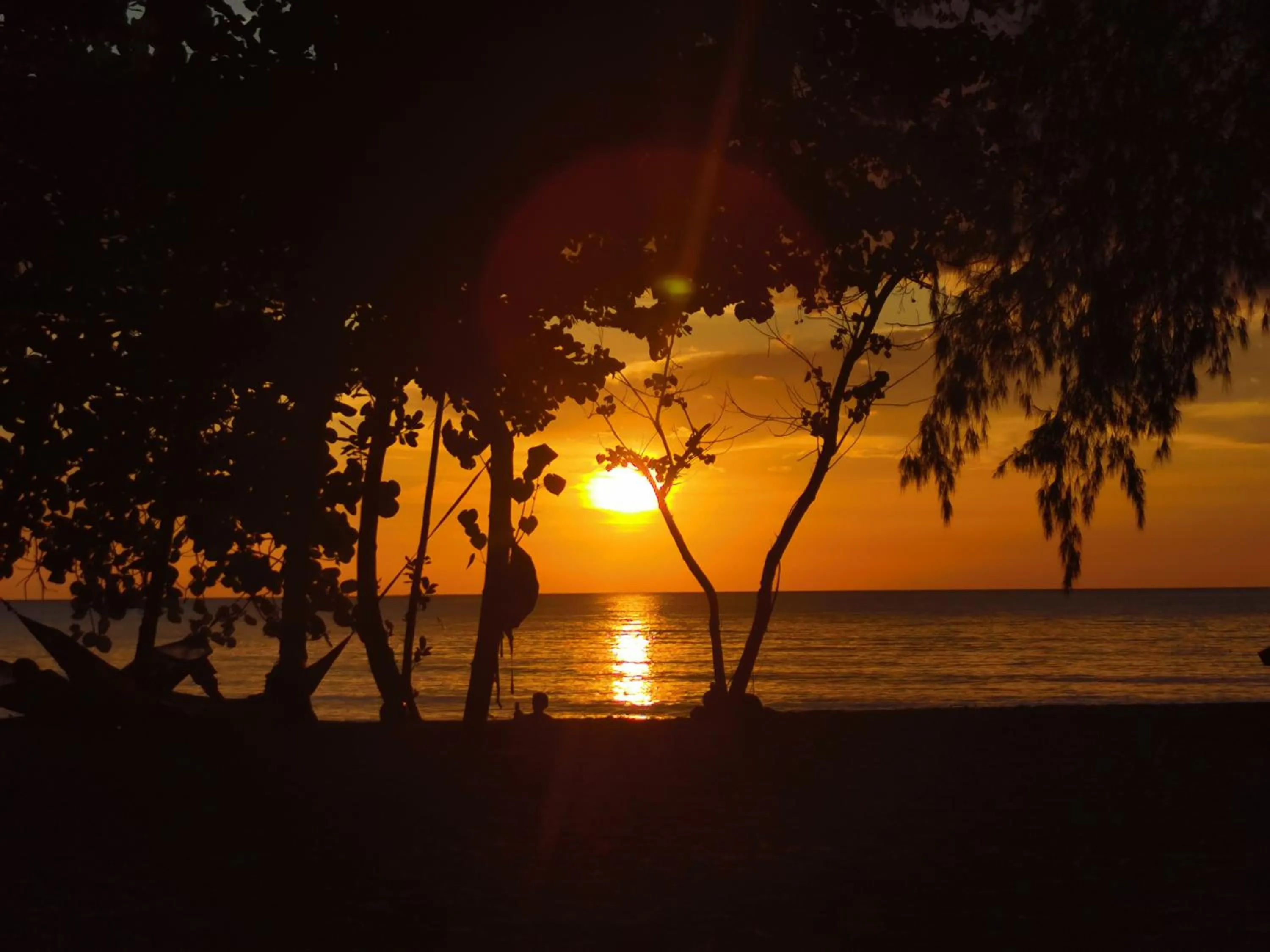 Beach in Sleeping Trees
