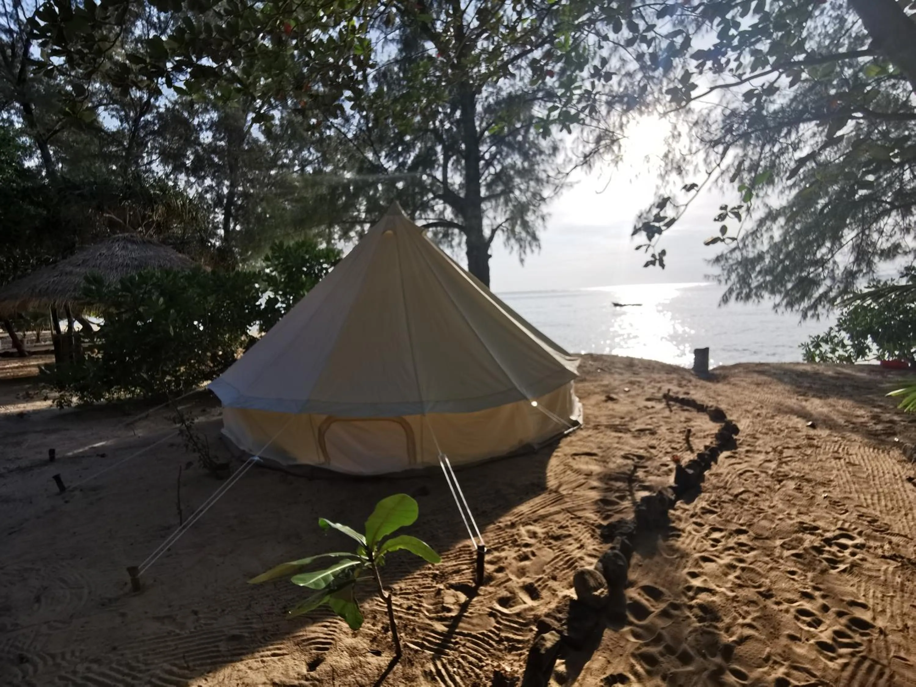 Beach in Sleeping Trees