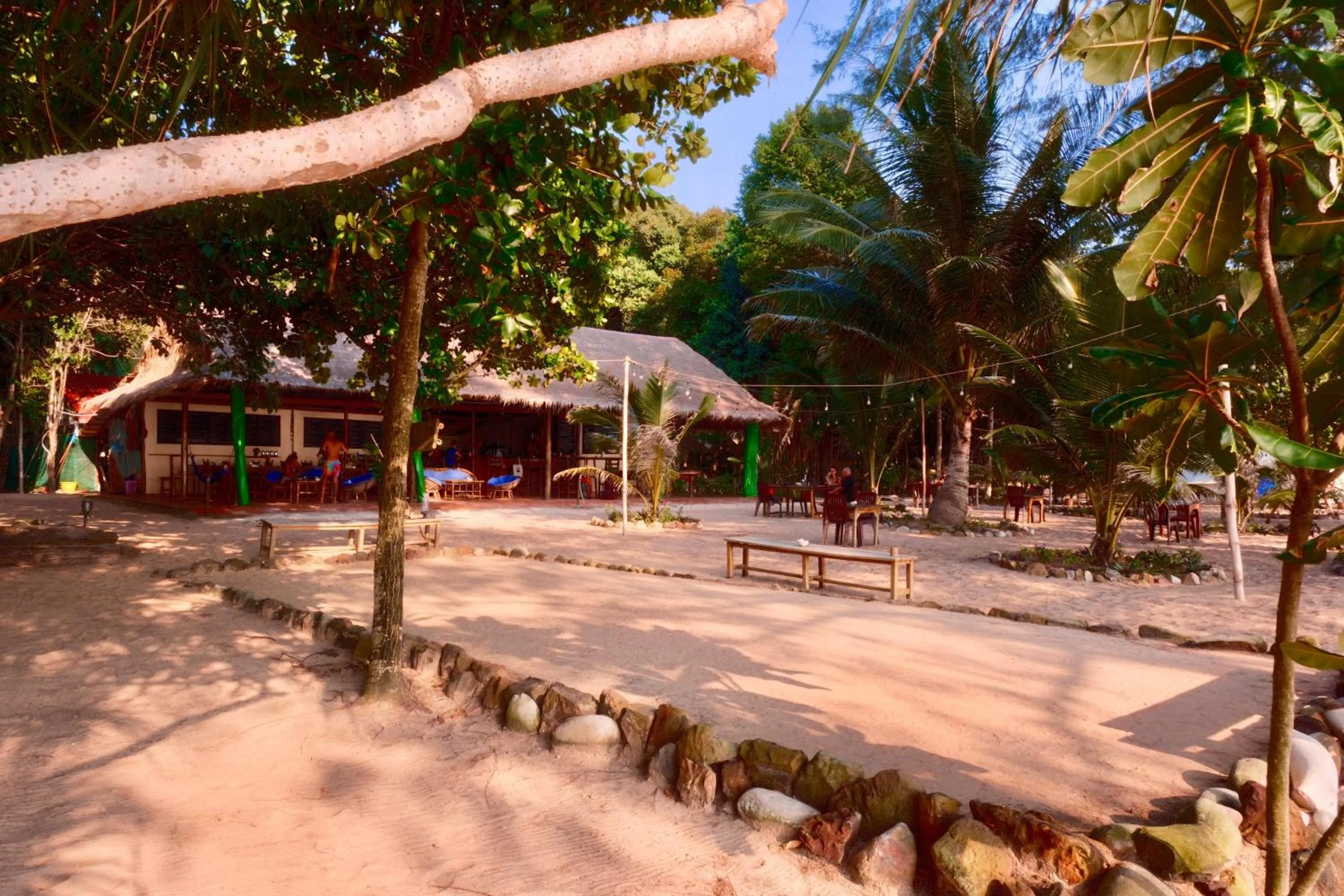 Beach in Sleeping Trees