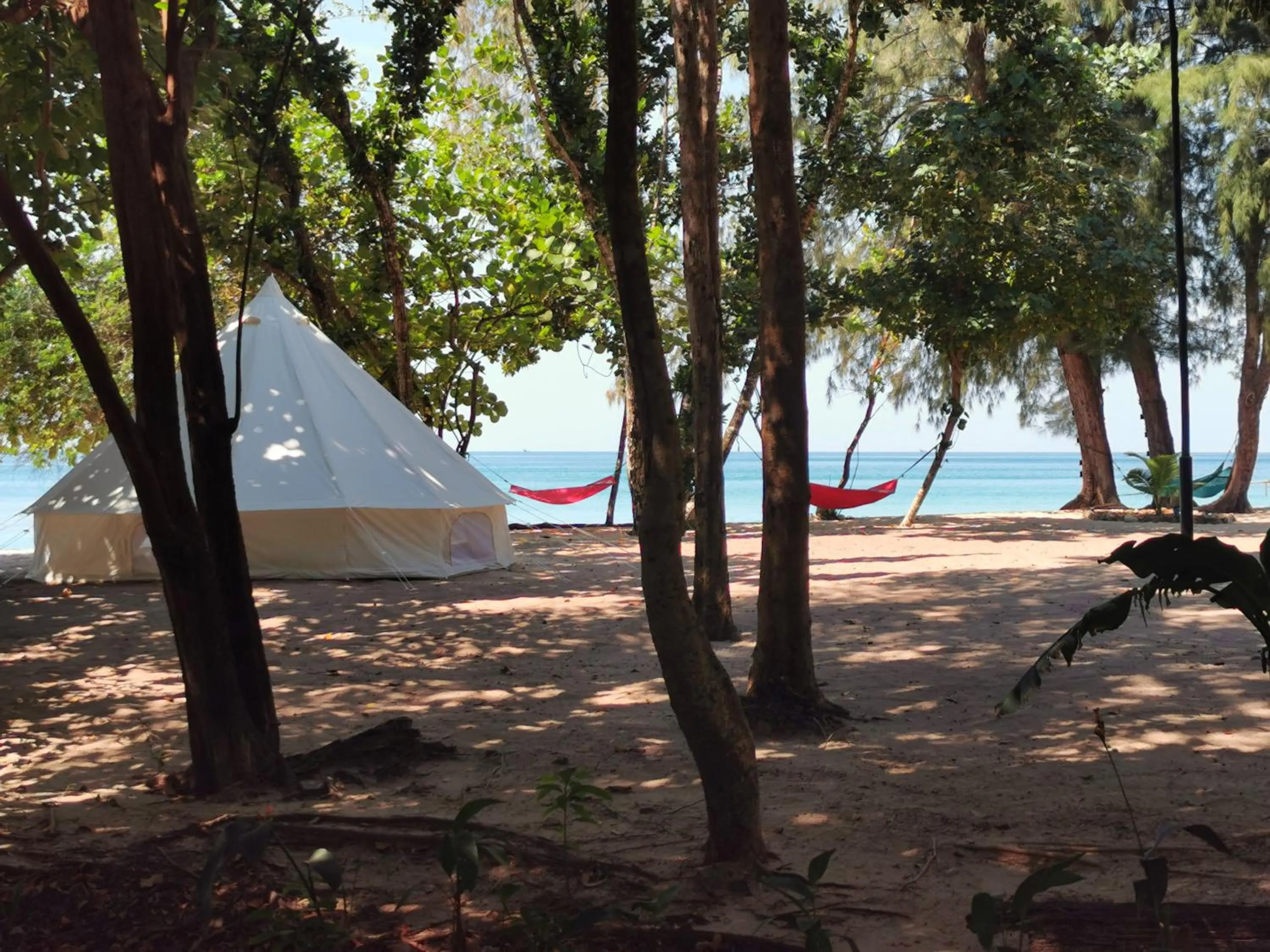 Beach in Sleeping Trees