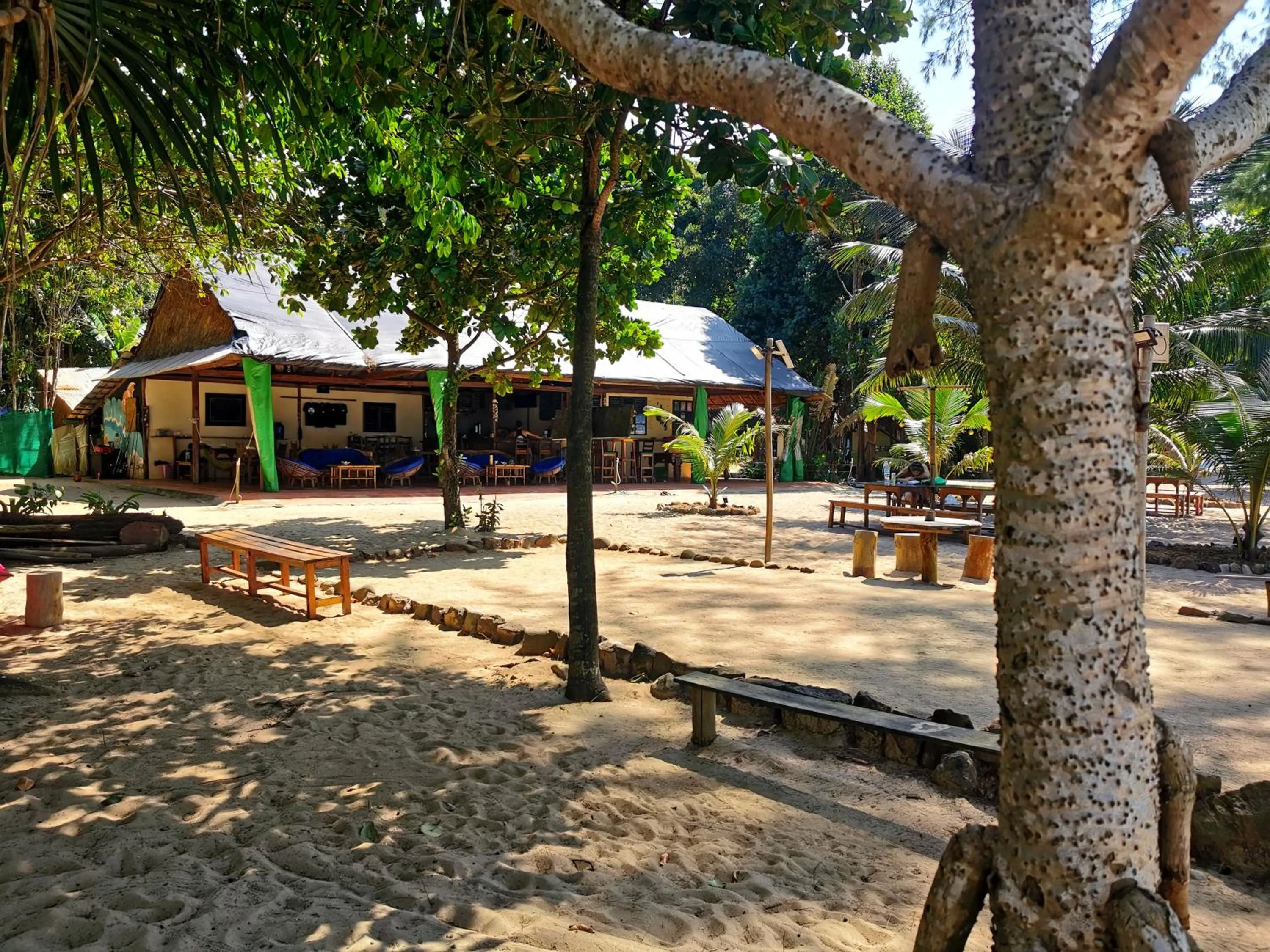Property building in Sleeping Trees