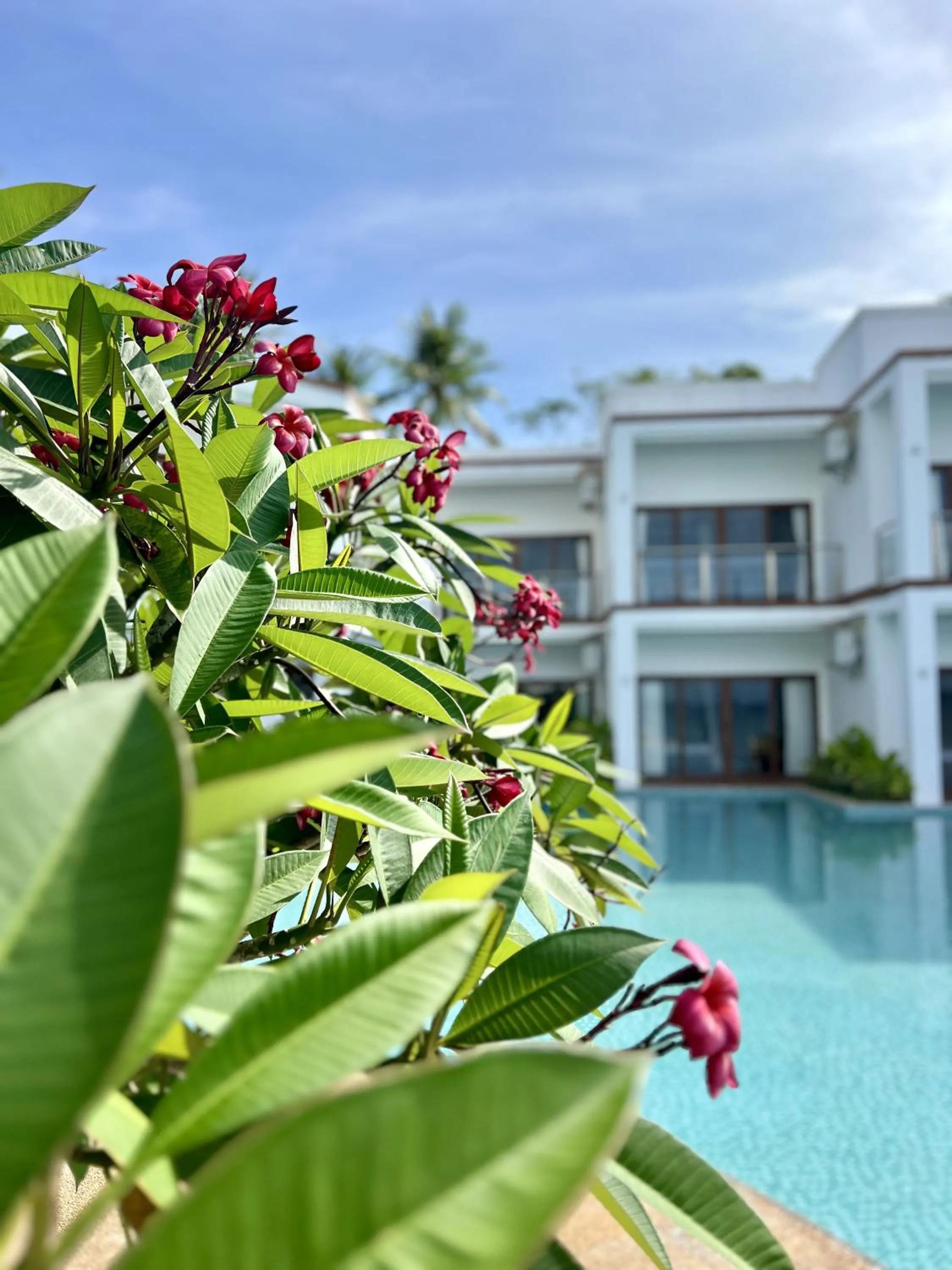 Garden view in Resort Deja Vu