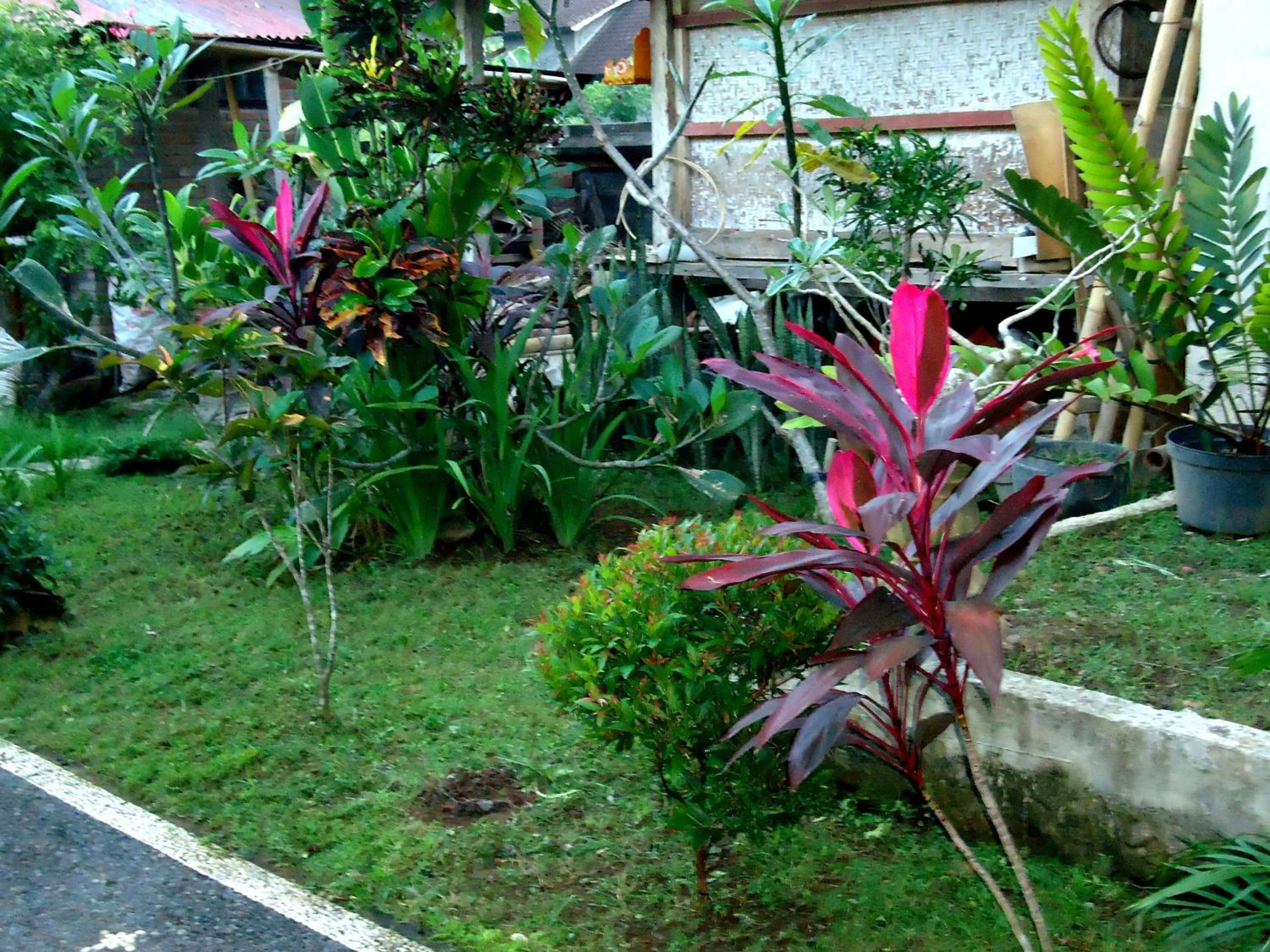 Garden in Dewa Put Guest House