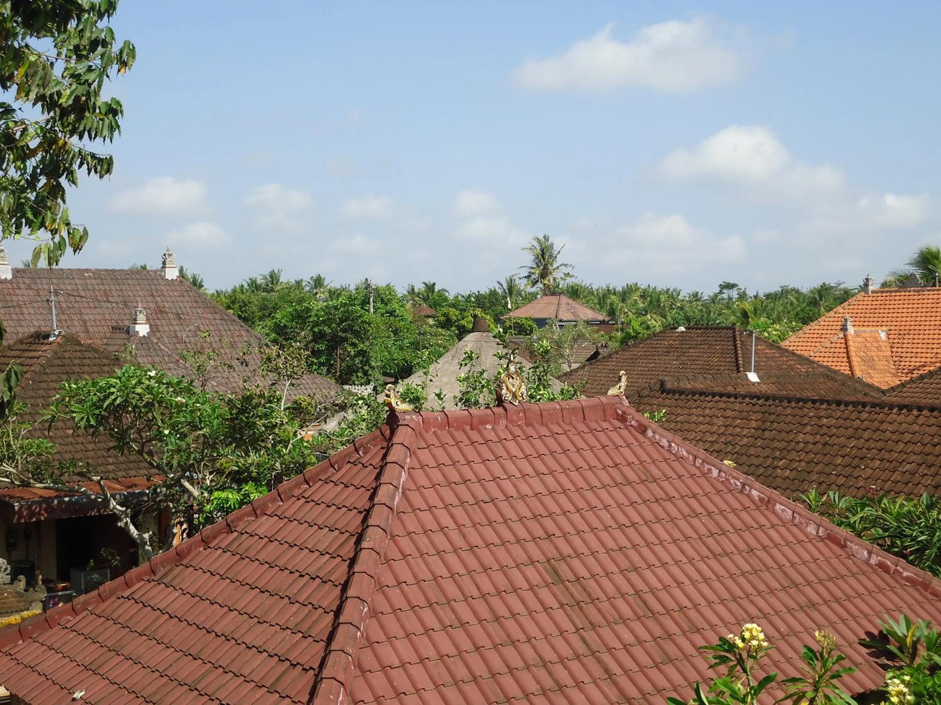 View (from property/room) in Dewa Put Guest House