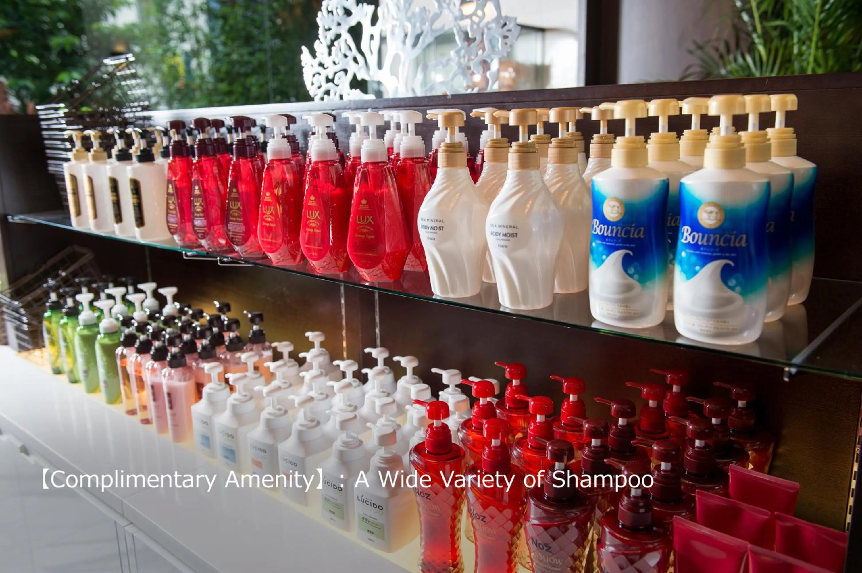 Other in Hotel Pasela no mori Yokohama Kannai