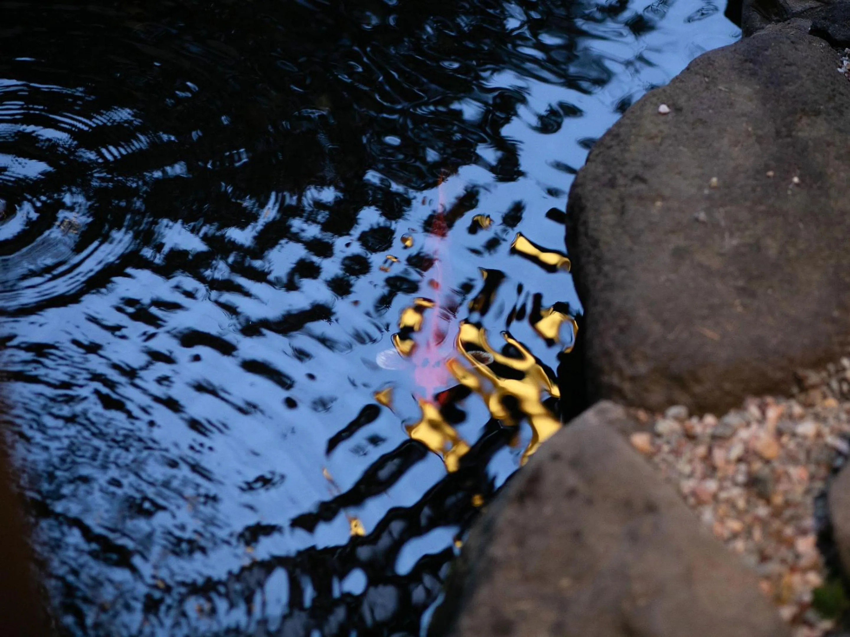 Area and facilities in AsoTsuruya
