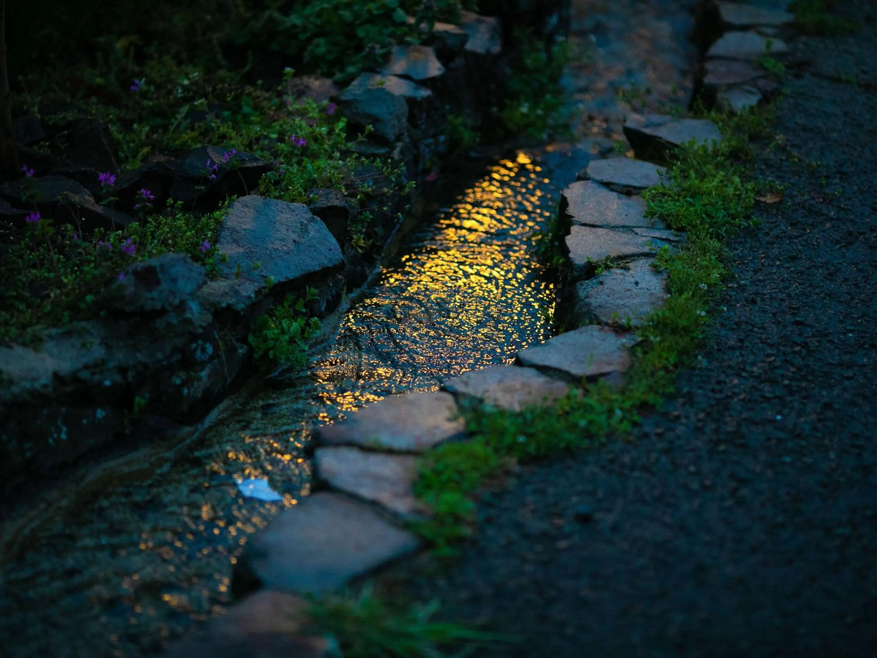 Area and facilities in AsoTsuruya