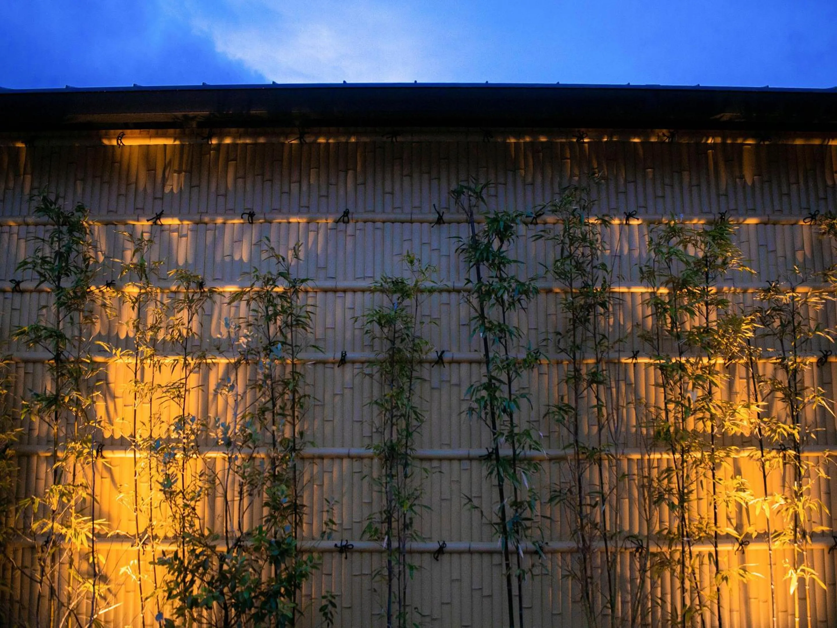 Property building in AsoTsuruya