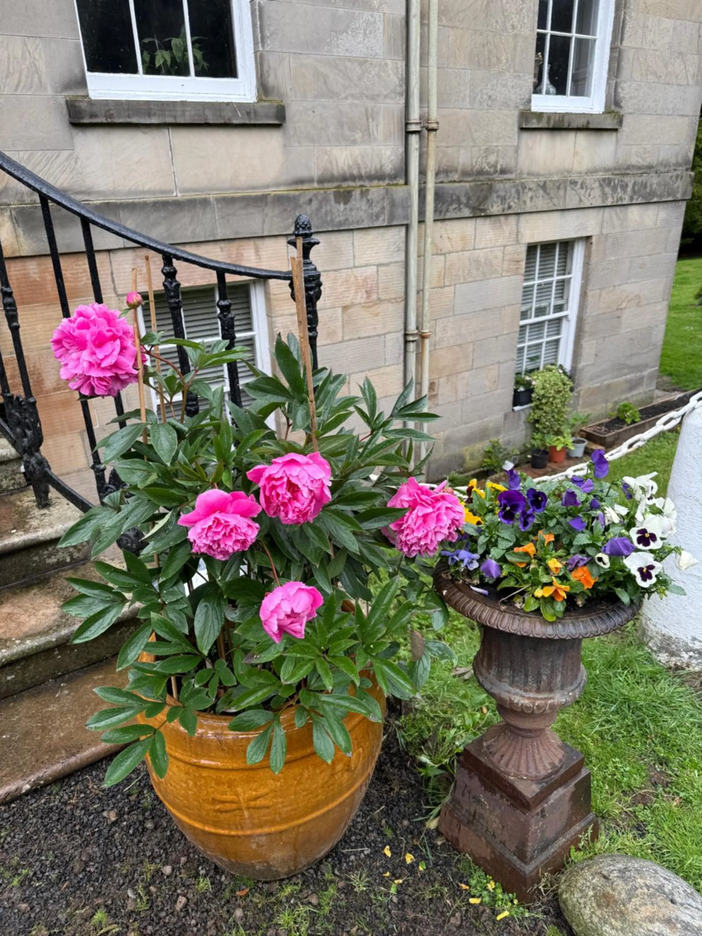 Garden in Limefield Mansion House