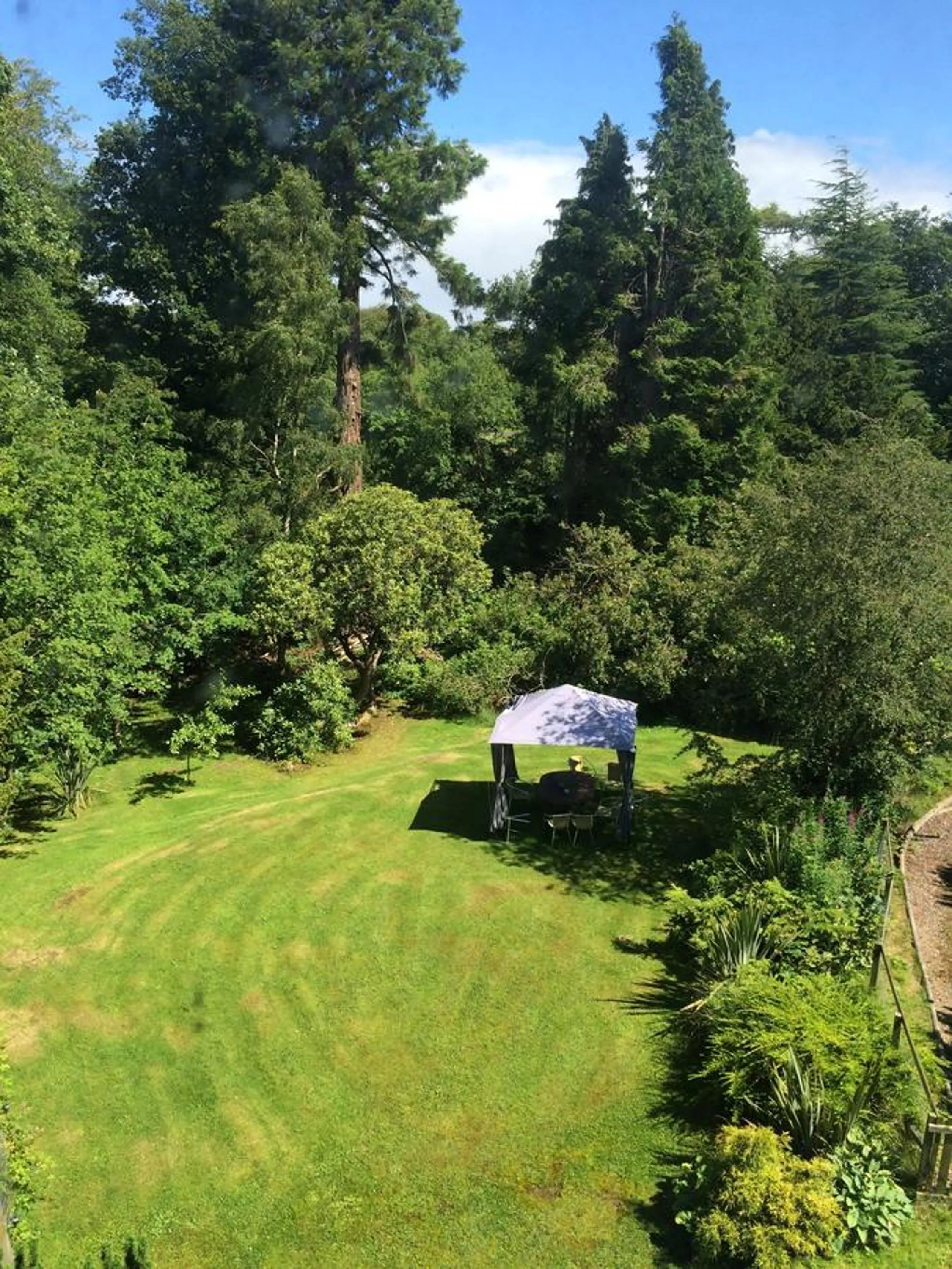 Garden view in Limefield Mansion House