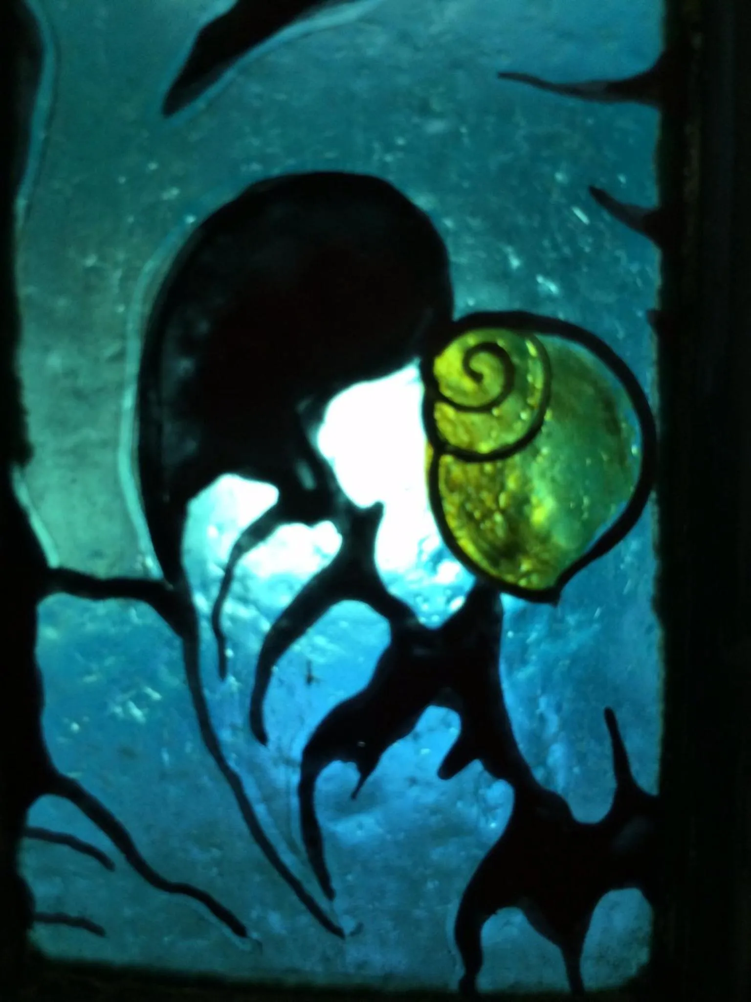 Decorative detail in Limefield Mansion House