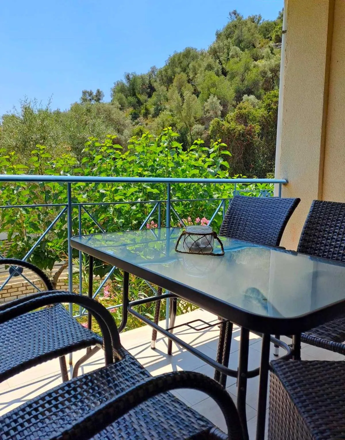 Ilianthos Apartments & Rooms