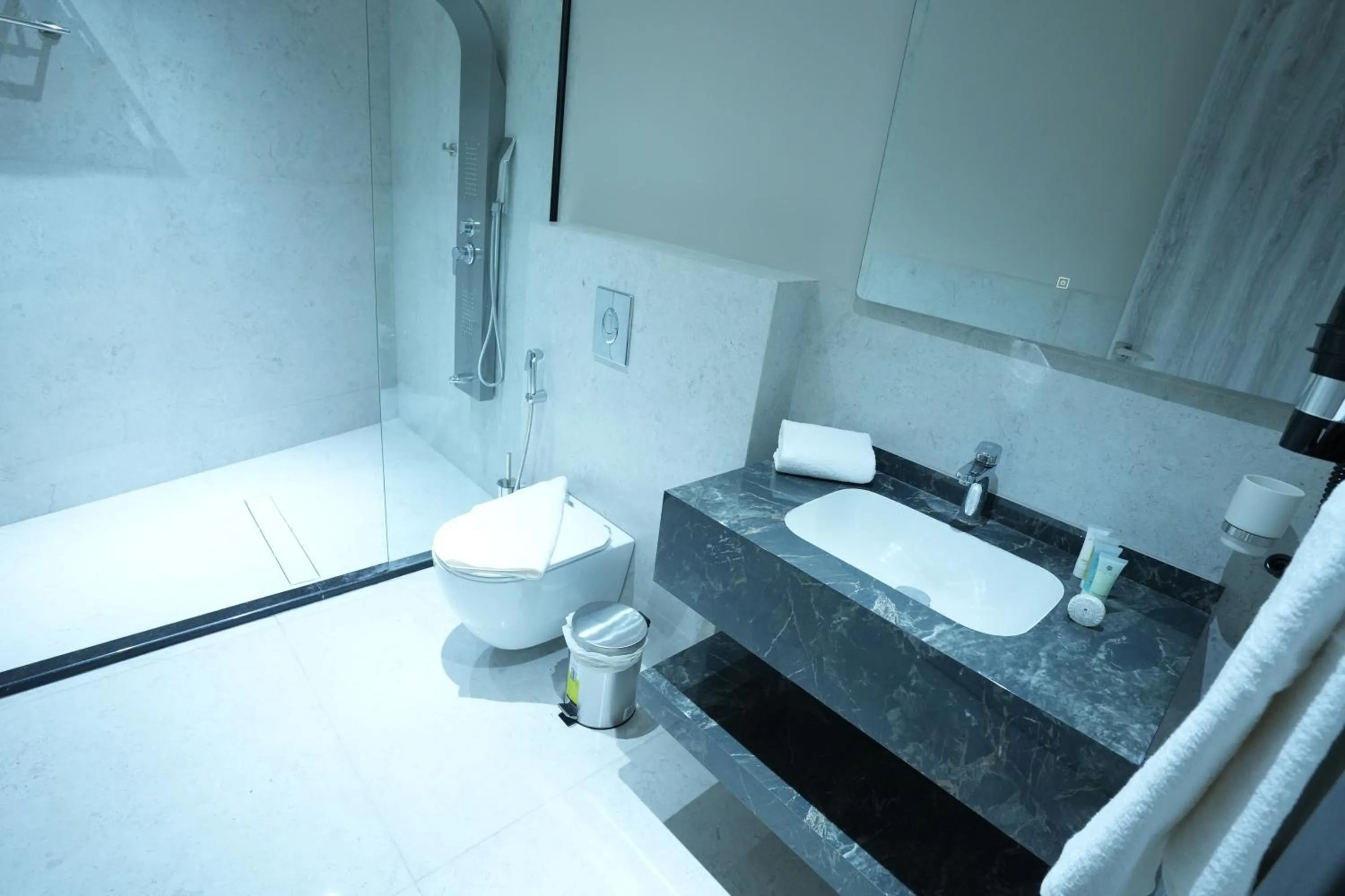 Roya Downtown Boutique Hotel