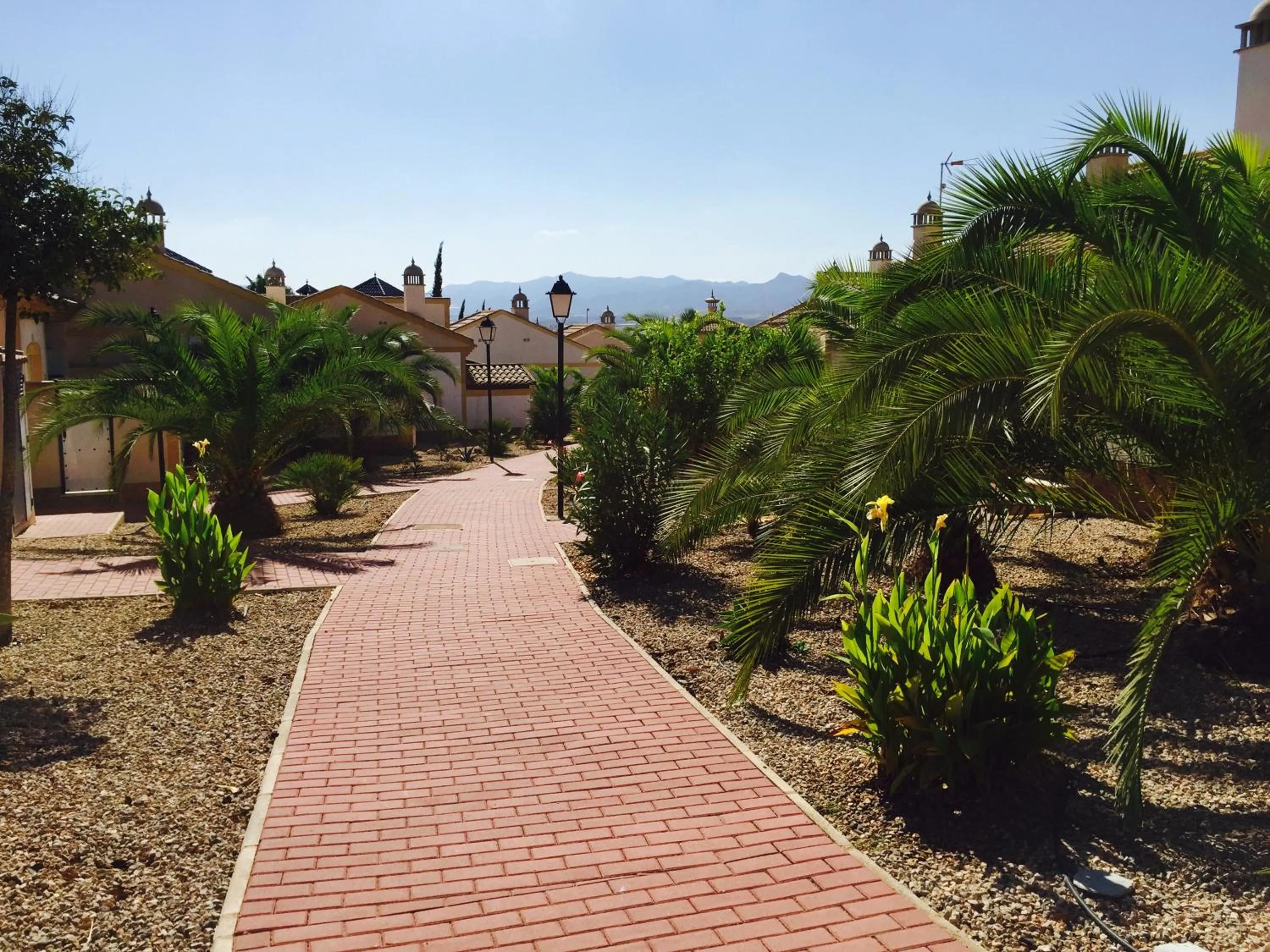 Garden in Casa Montana near the Coast
