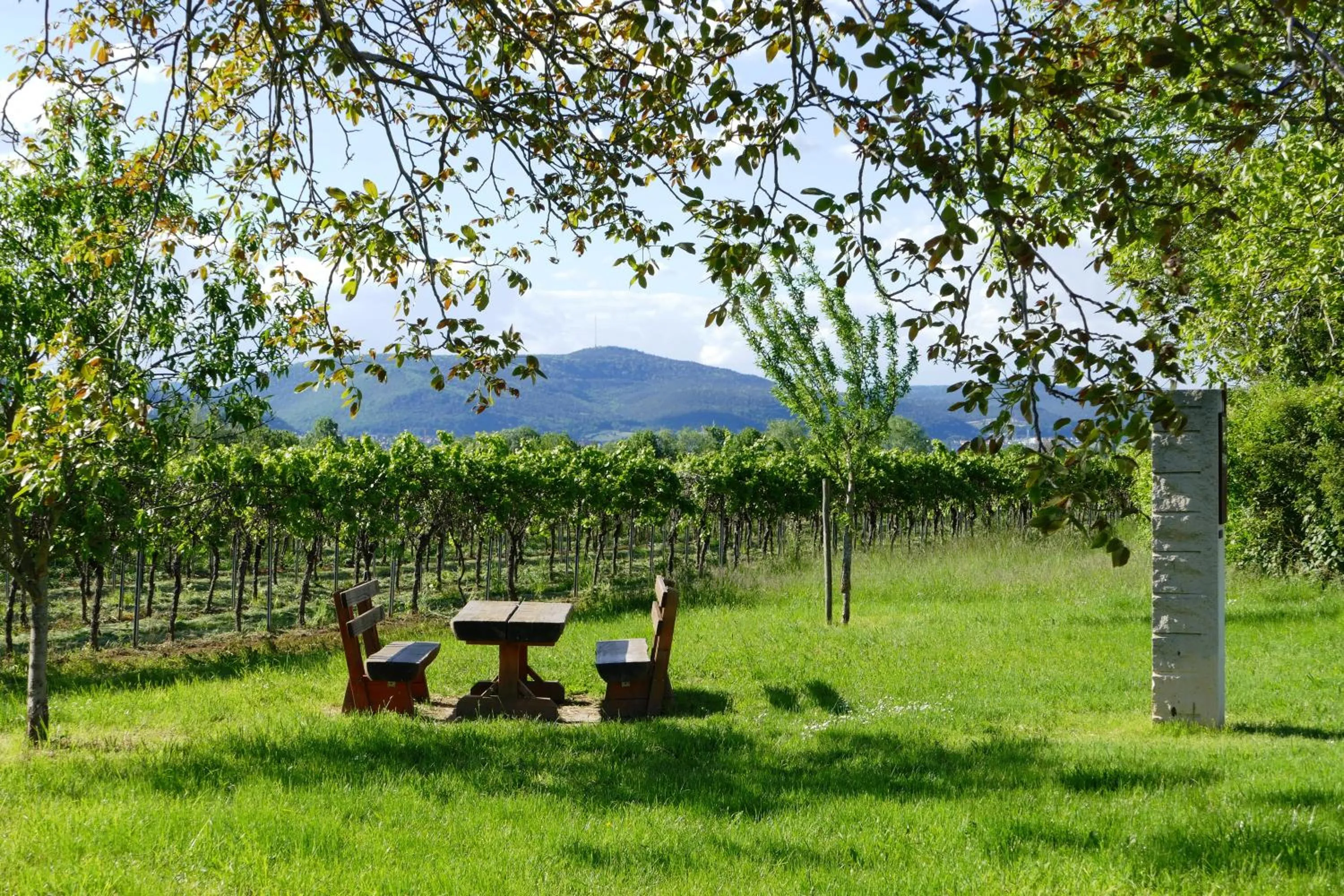 Spring in Hotel Garni Sebastian