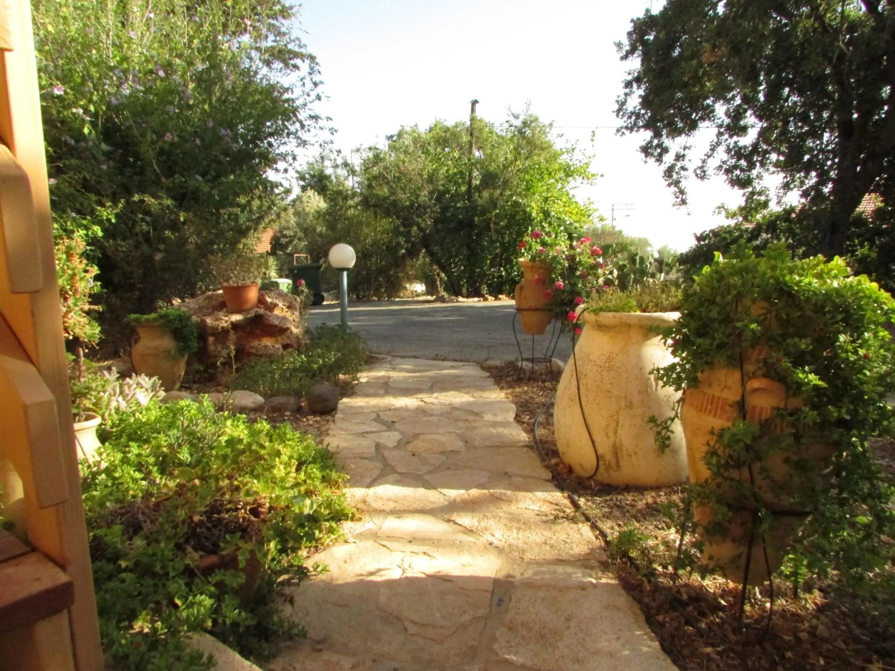 Aviv - Bakfar in Amirim