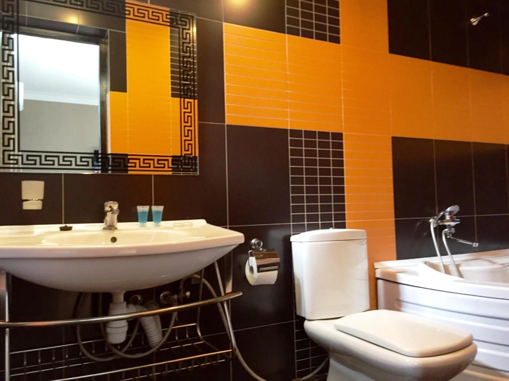 Bathroom in Hotel New Metekhi