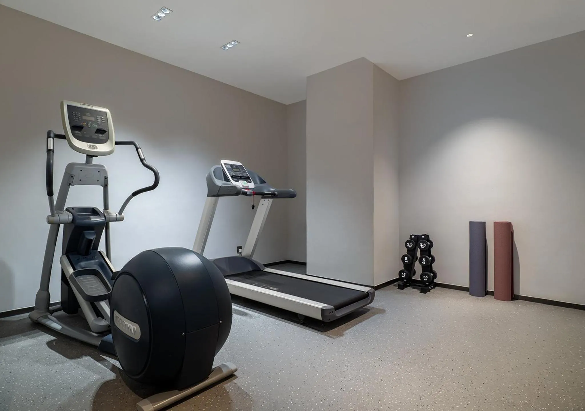 Fitness centre/facilities in Holiday Inn Express Sihui City Center