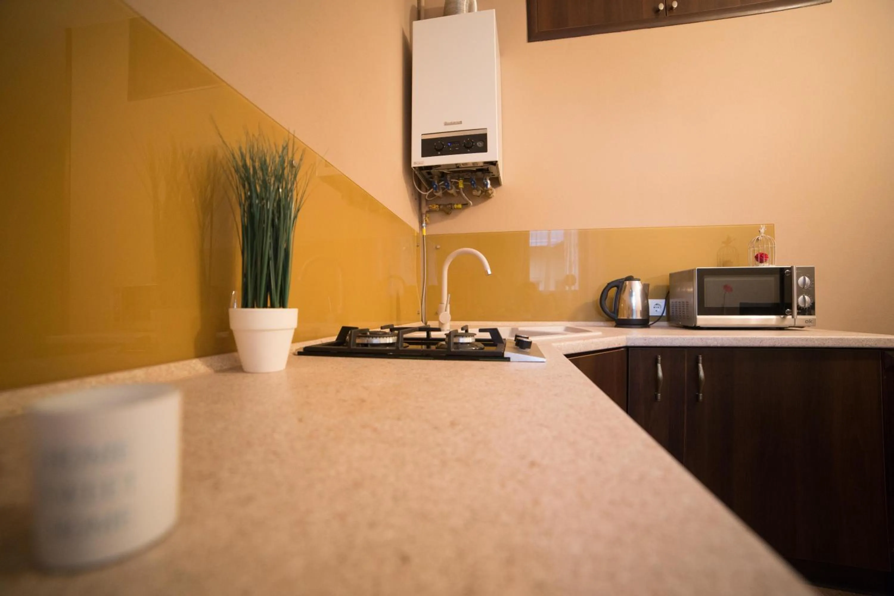 Kitchen or kitchenette in Aparthotel Na Mytniy