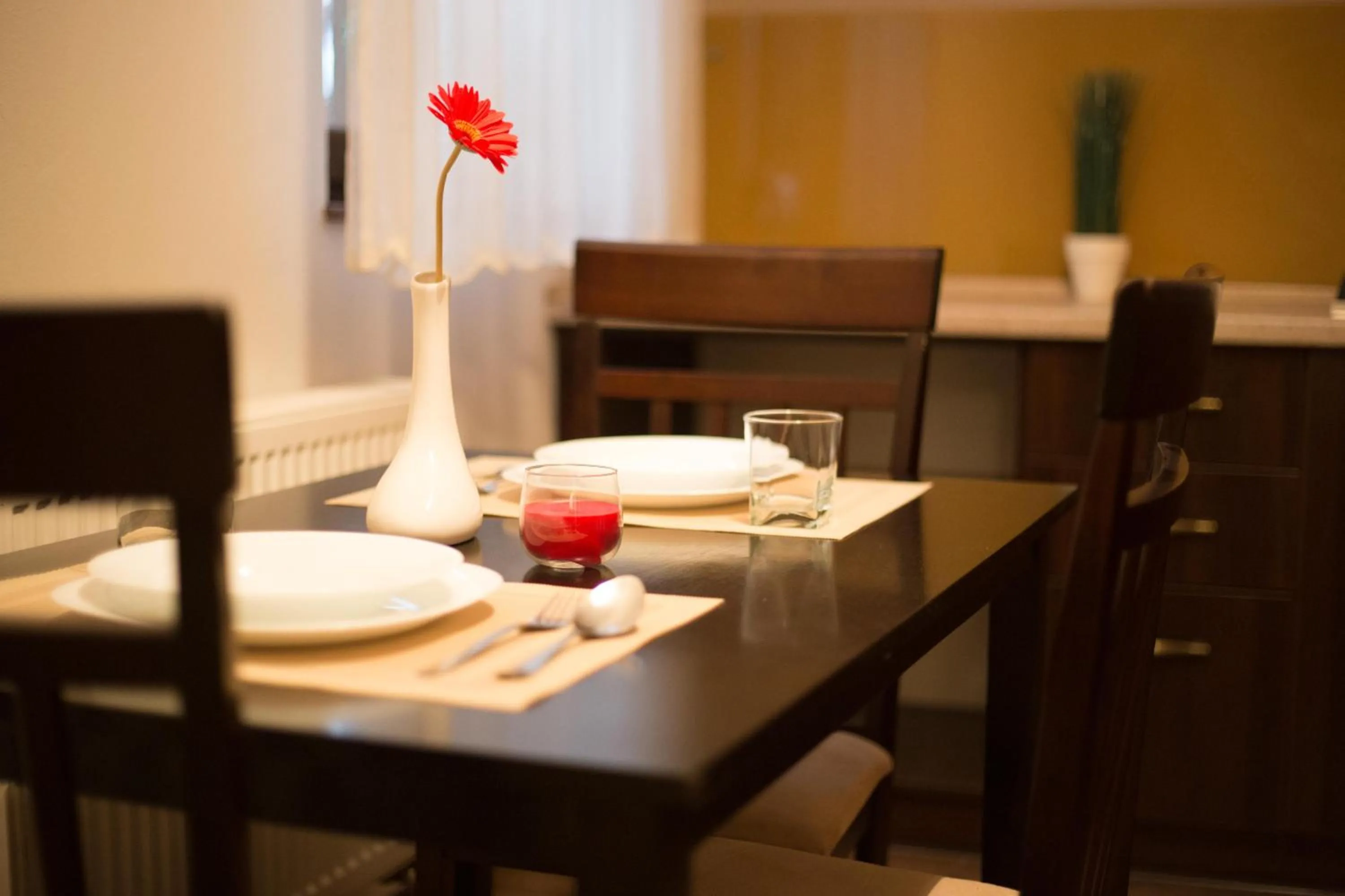 Kitchen or kitchenette in Aparthotel Na Mytniy