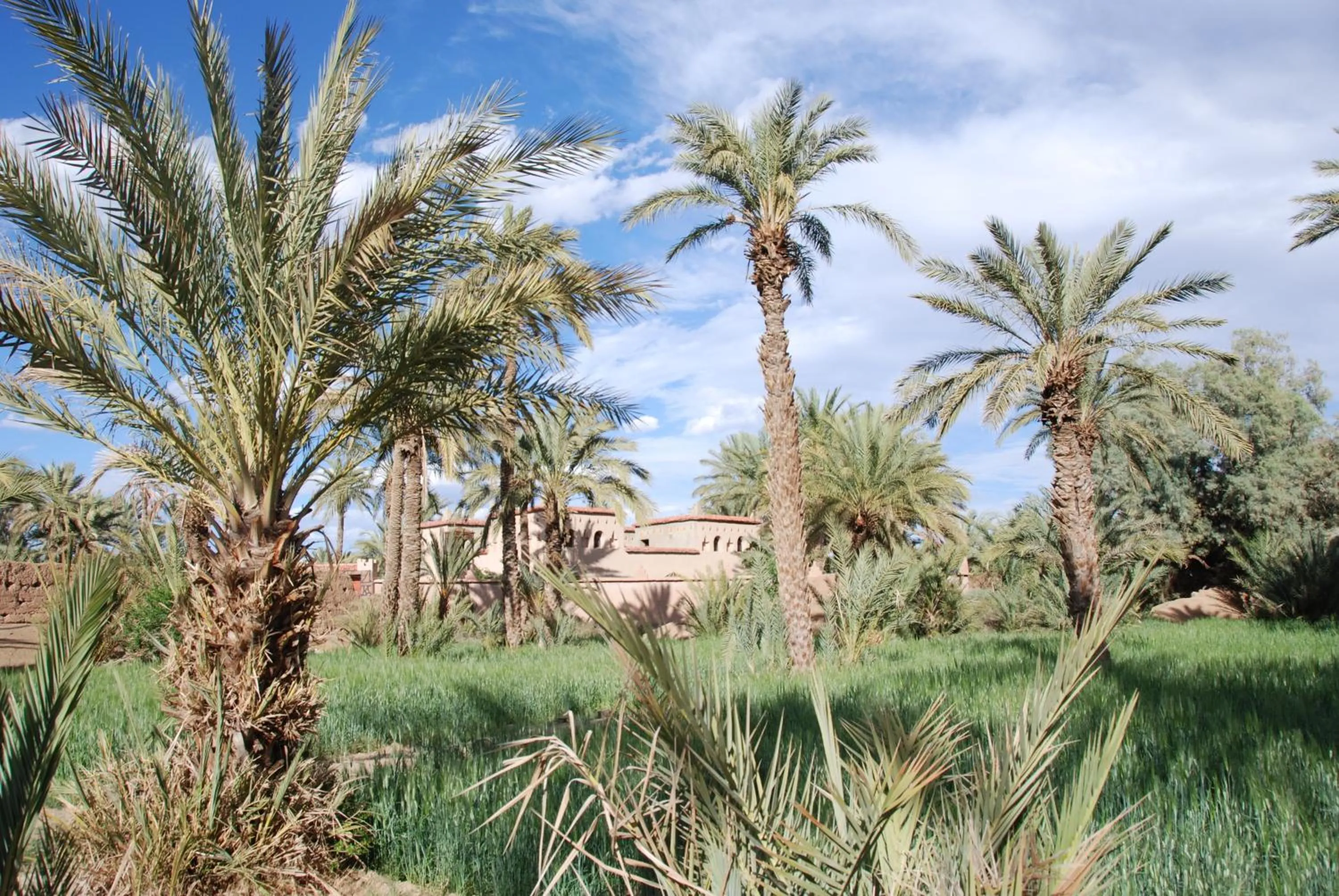 Property building in Rose du Sable