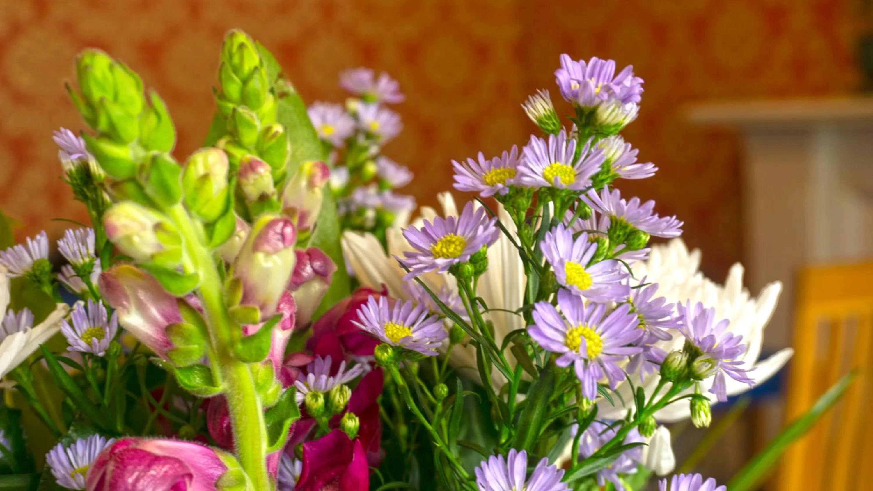 Arrandale Guest House