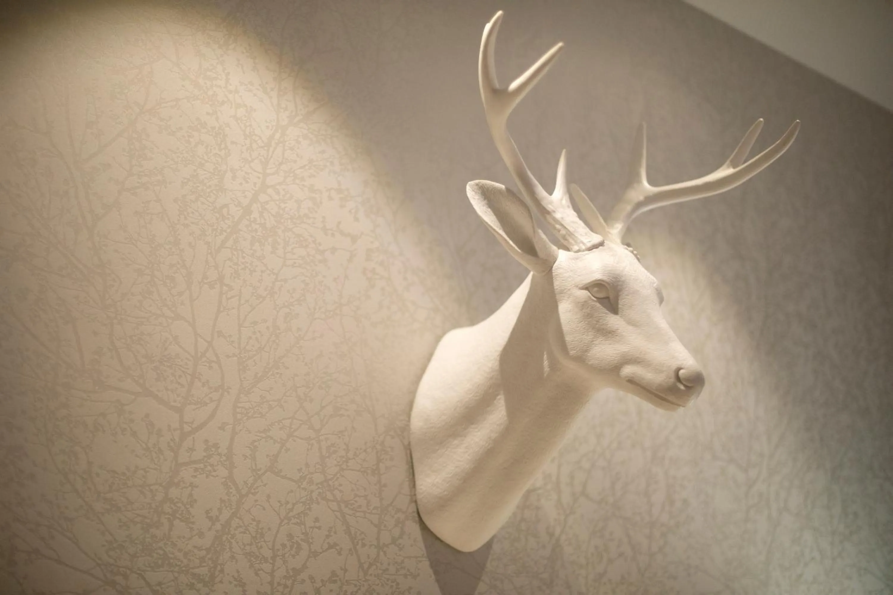 Decorative detail in Orange Hotel Hangzhou Future Science and Technology City Hangzhou Normal University