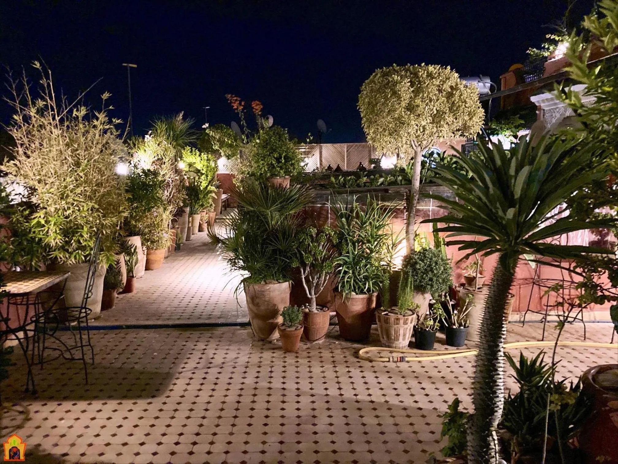 Patio in Riad Toyour- Riad of birds