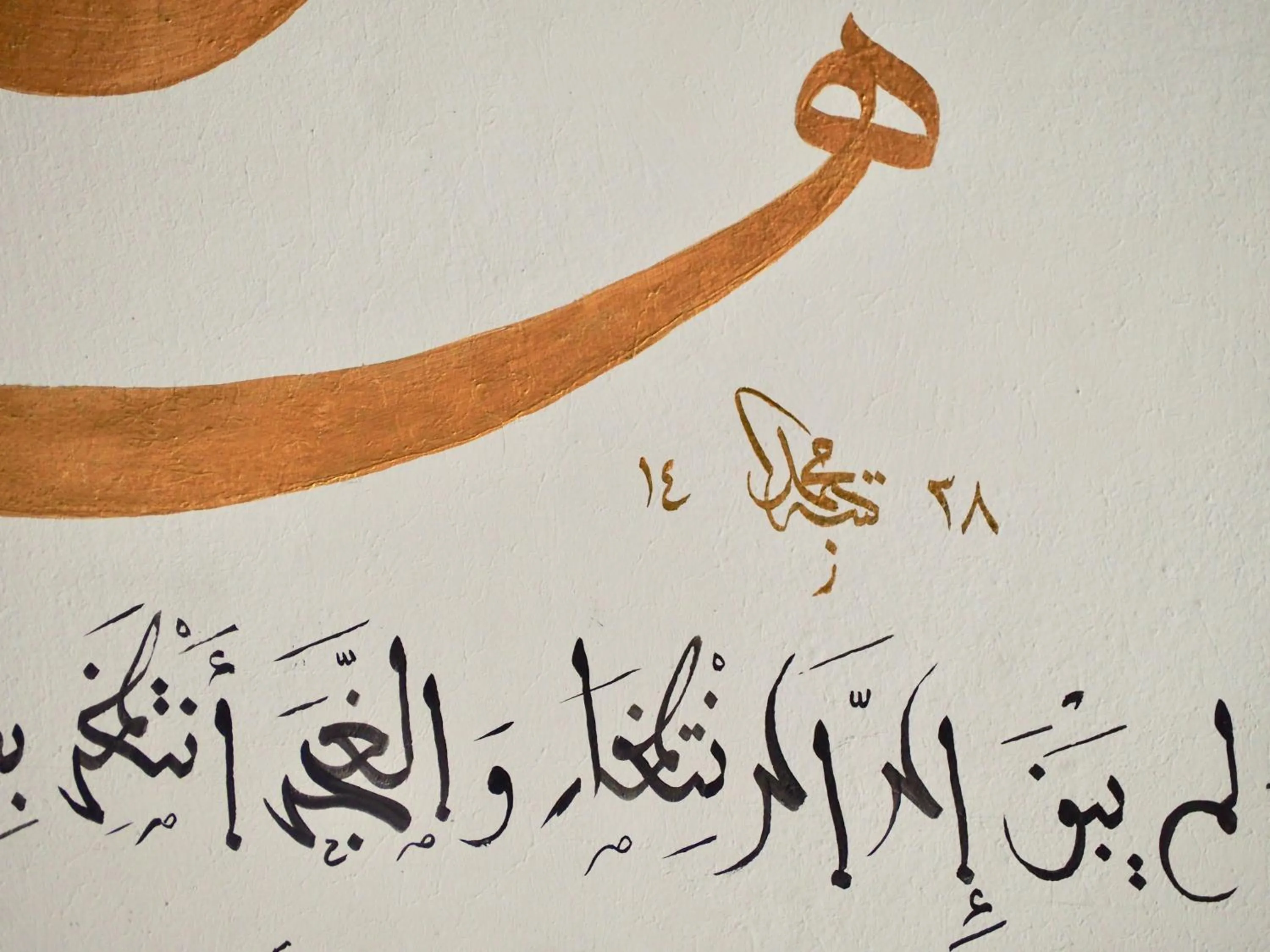 Patio in Riad Toyour- Riad of birds