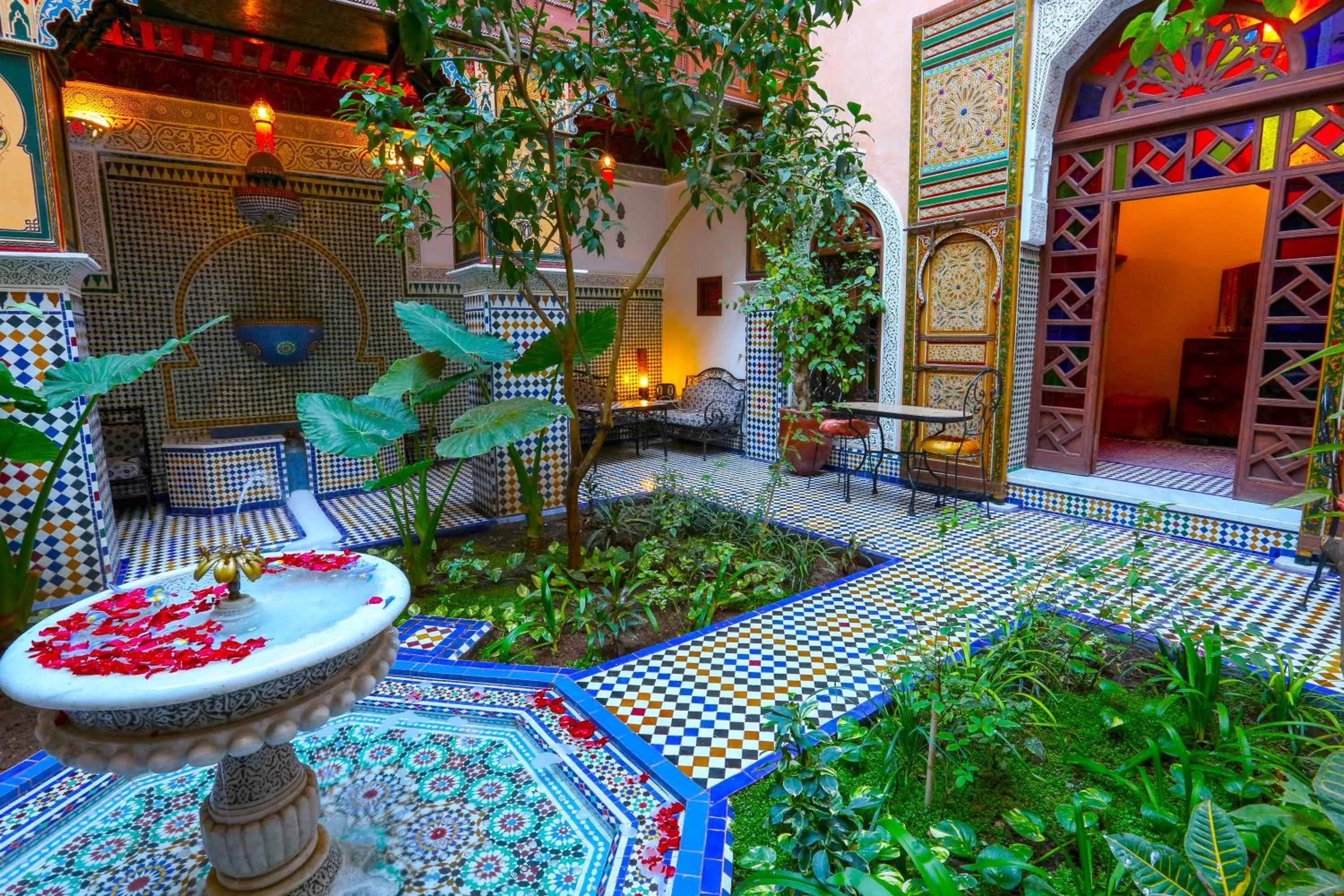 Patio in Riad Toyour- Riad of birds