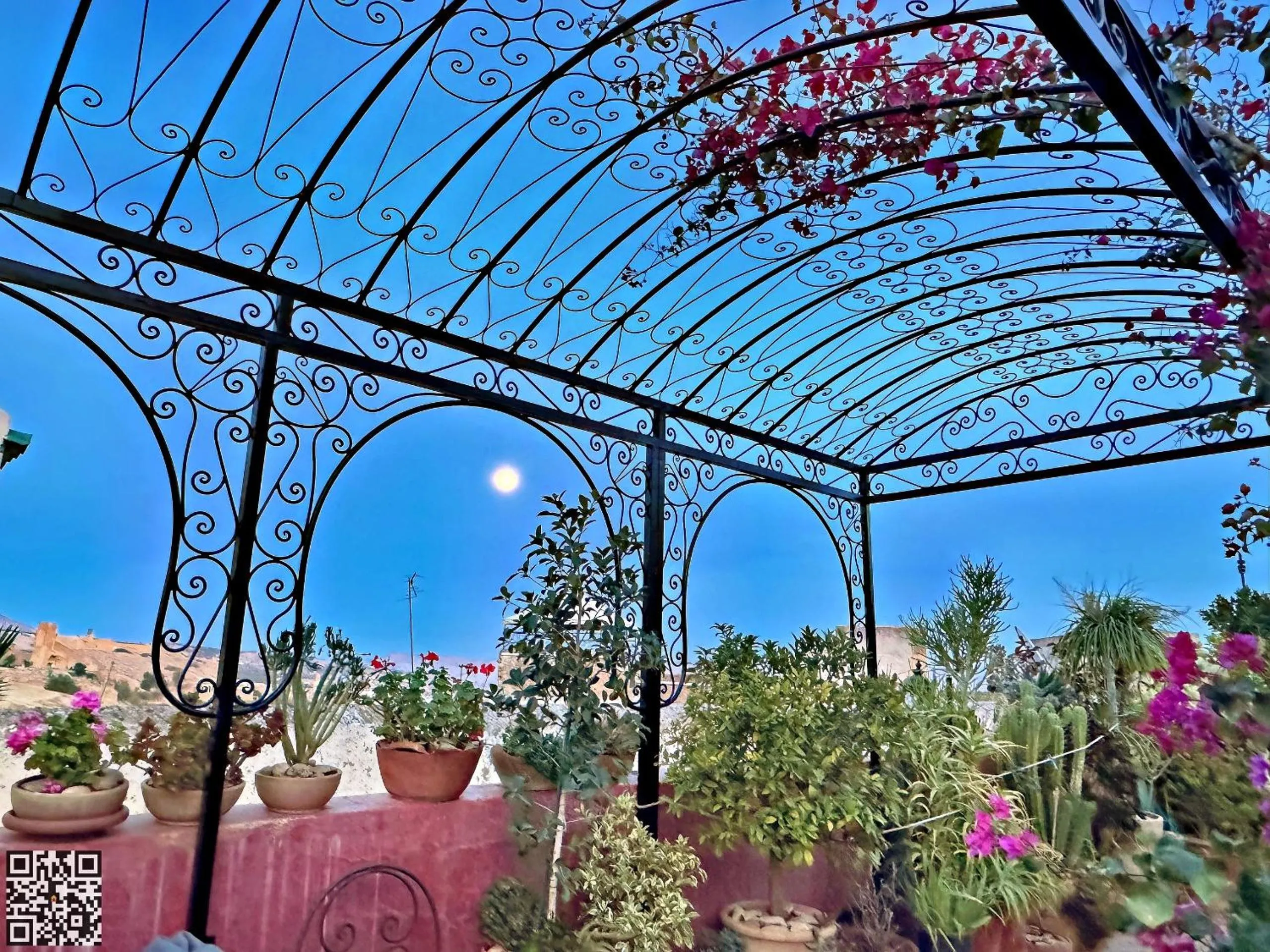 Patio in Riad Toyour- Riad of birds