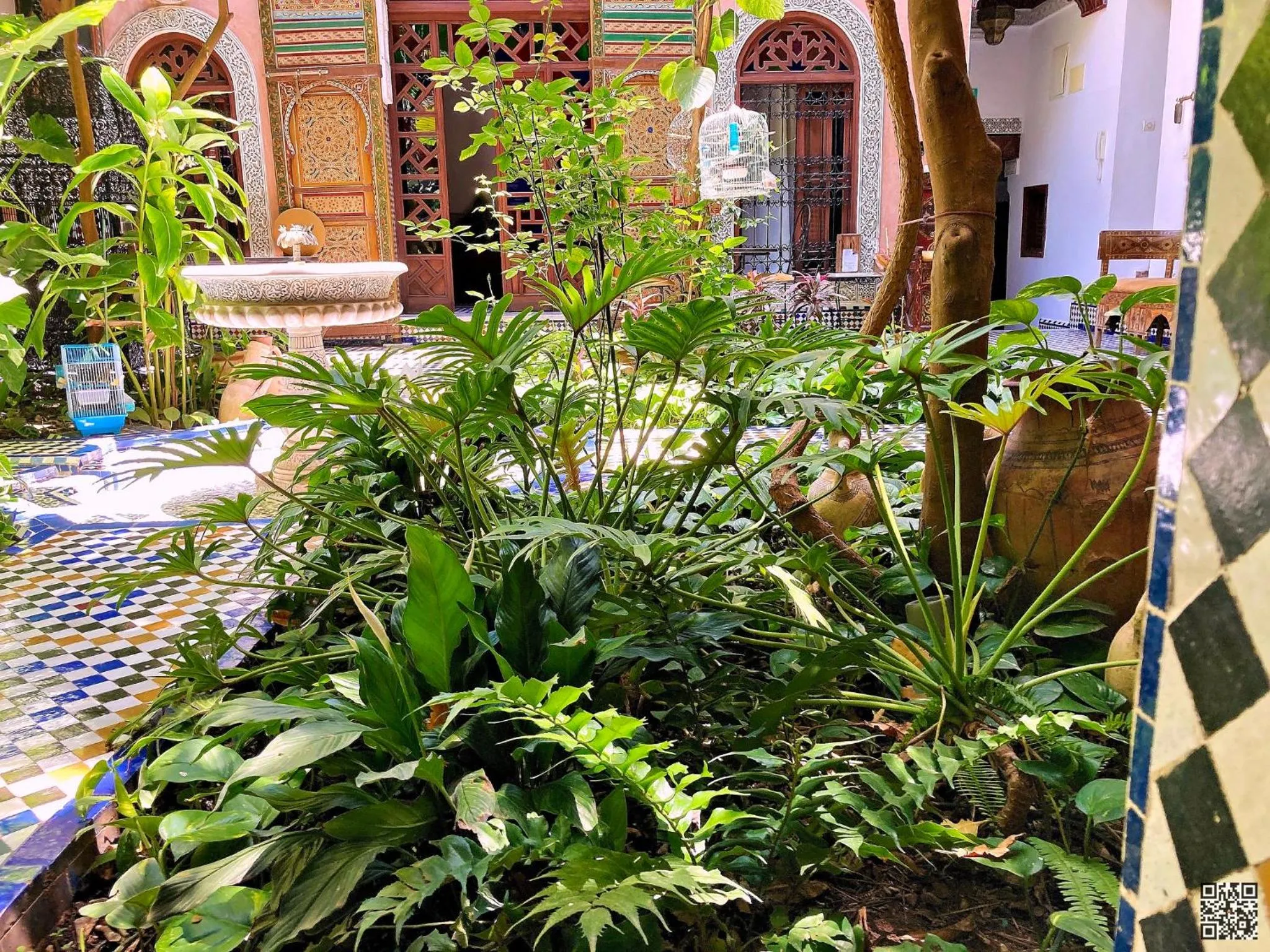 Patio in Riad Toyour- Riad of birds