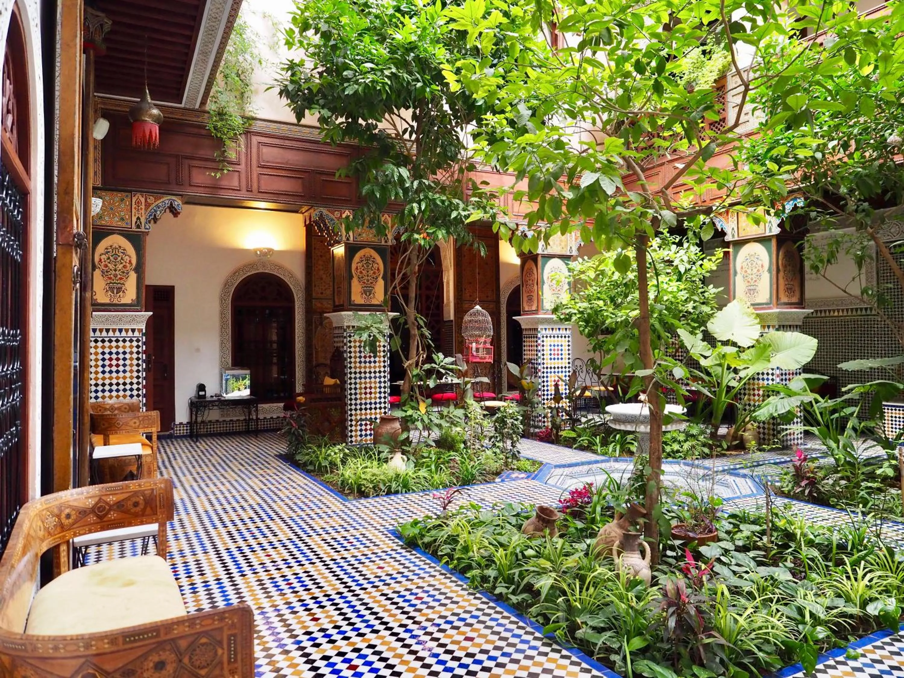 Garden view in Riad Toyour- Riad of birds