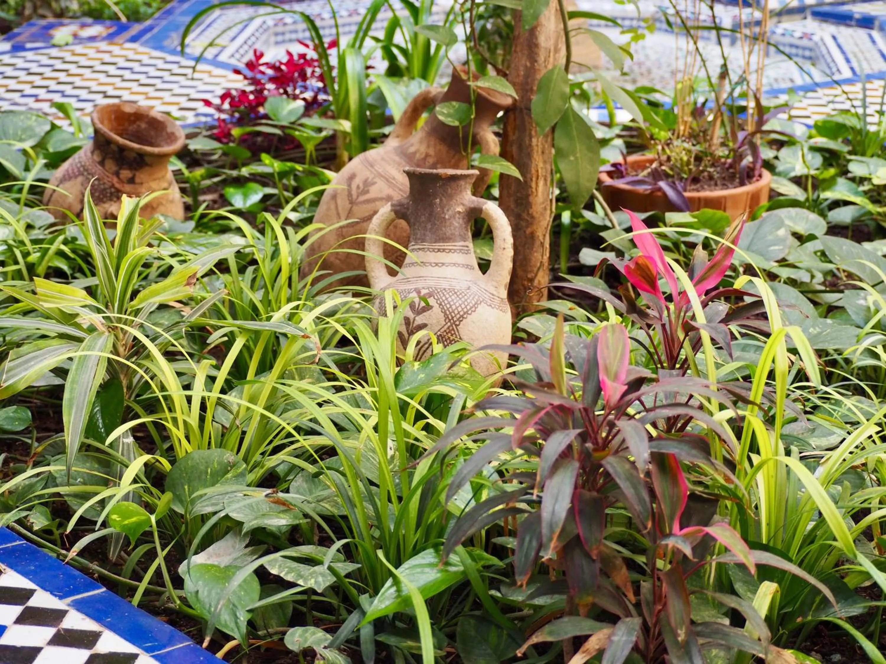 Garden in Riad Toyour- Riad of birds