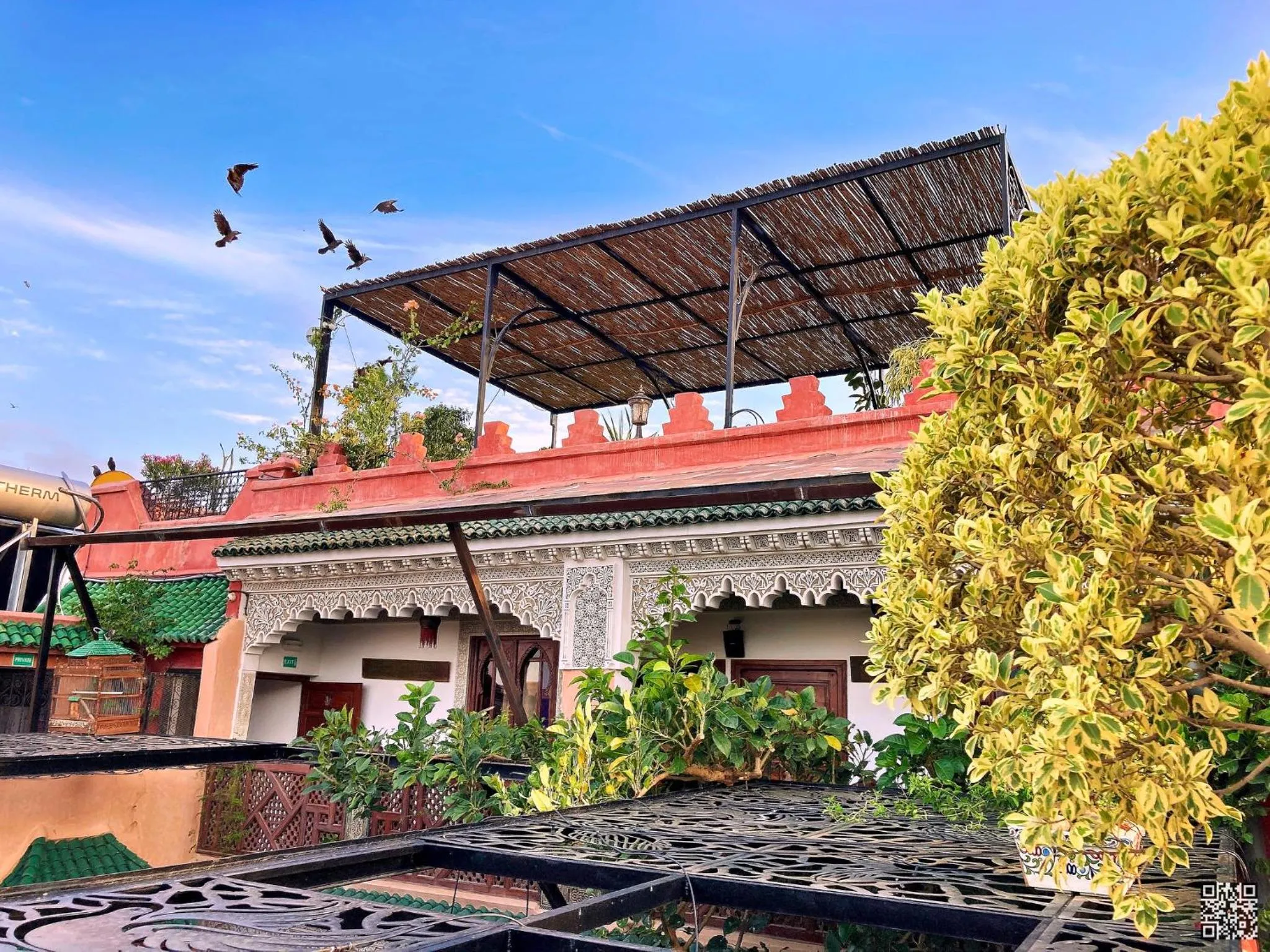 Property building in Riad Toyour- Riad of birds