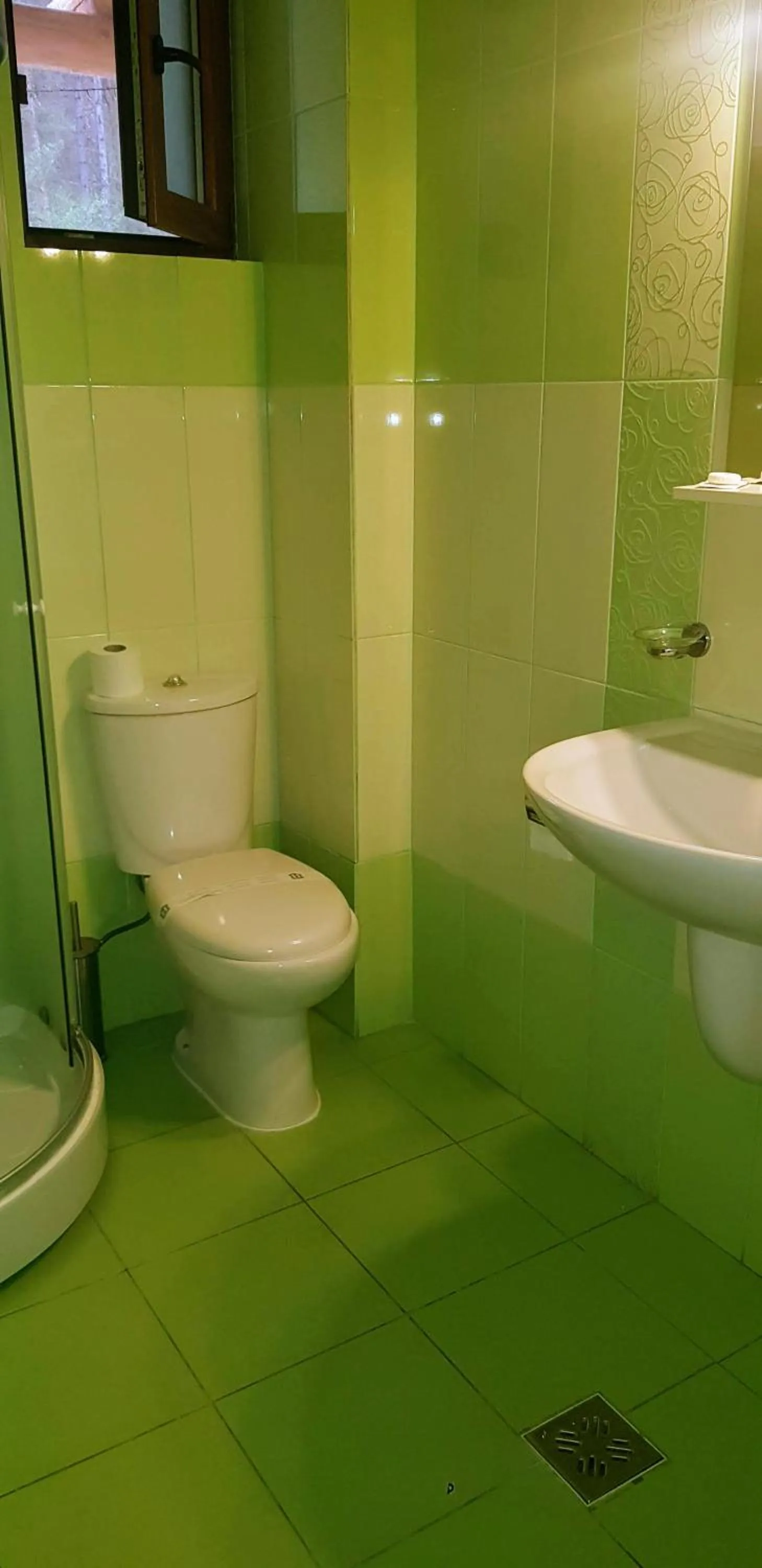 Shower in Pensiunea Casiana