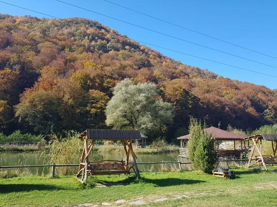 Lake view in Pensiunea Casiana